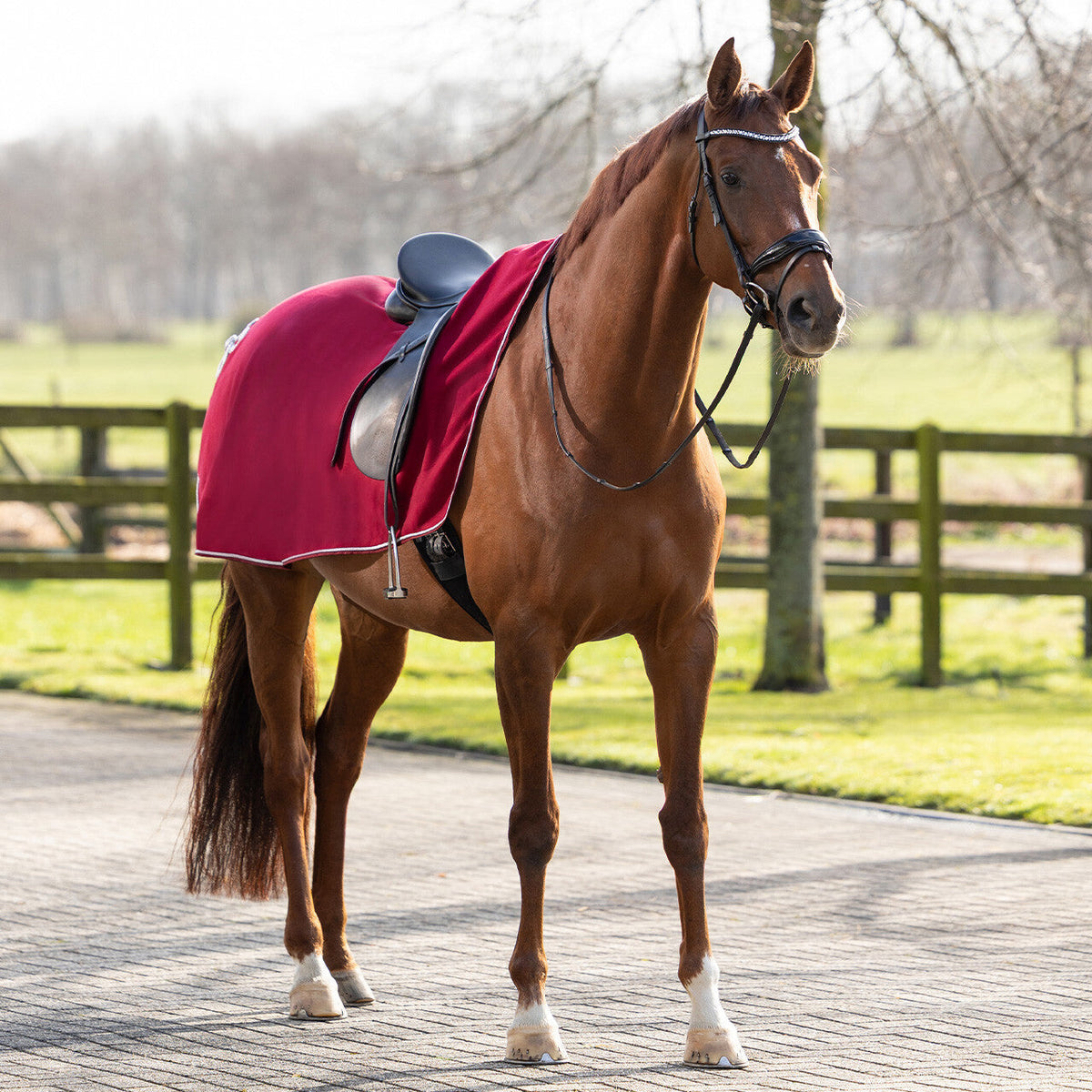 Exercise rug fleece ornament
