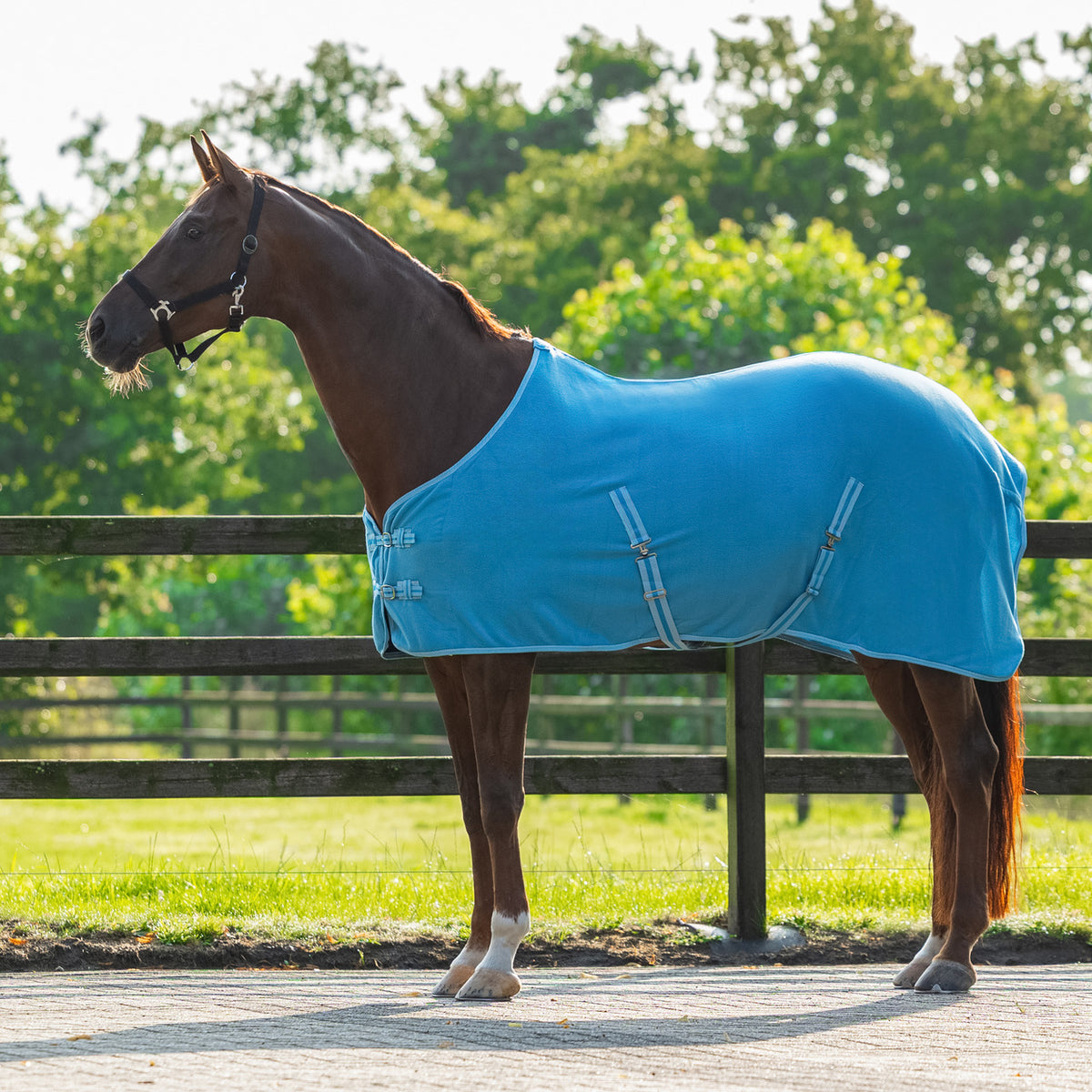 Fleece rug Color with cross surcingles