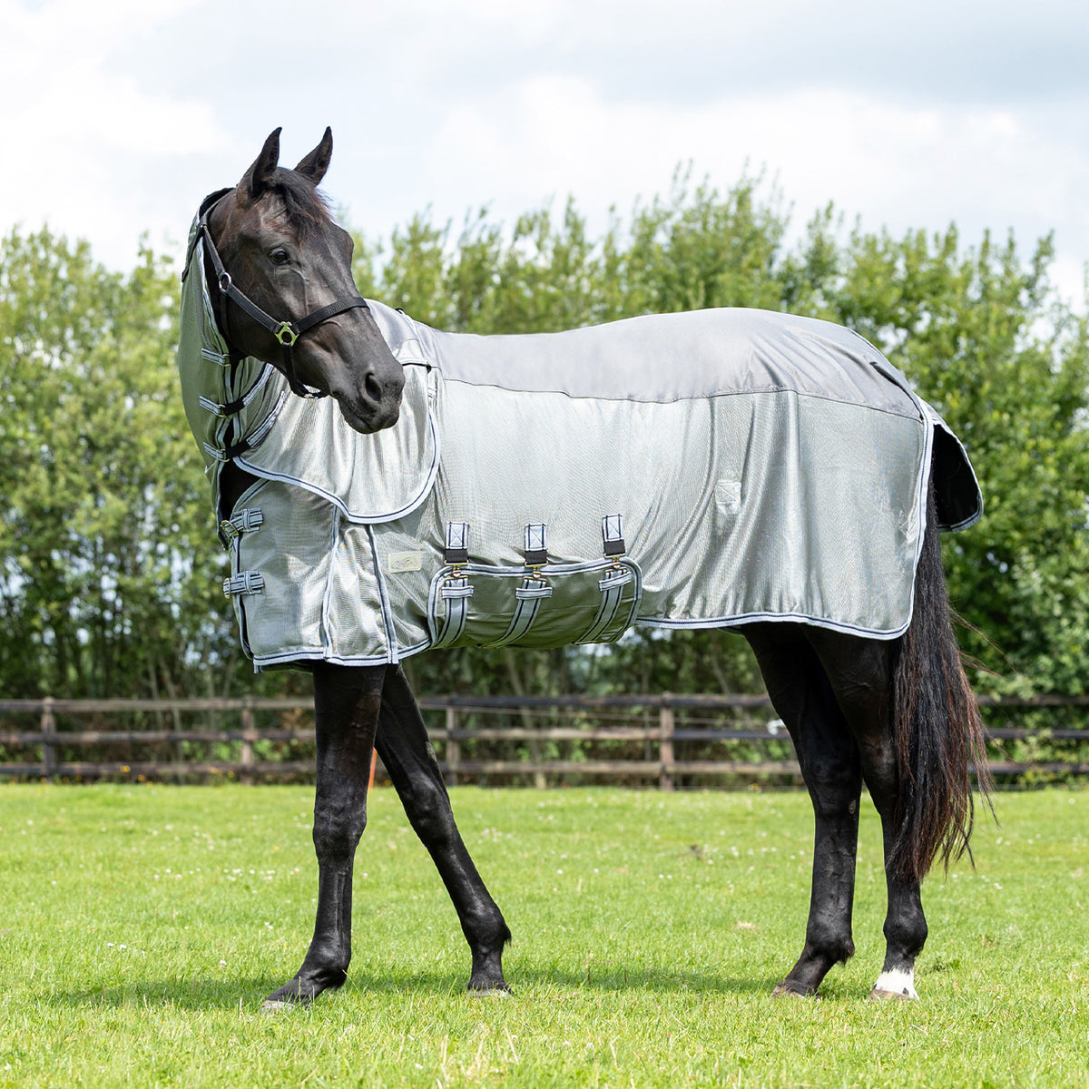 Fly rug Combo with neck