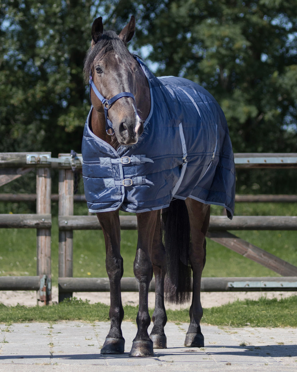 Stable rug Start 150gr