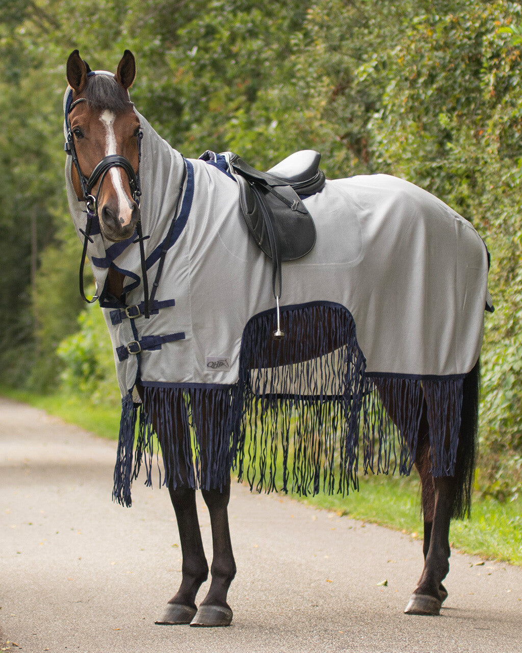 Exercise fly rug with fringes