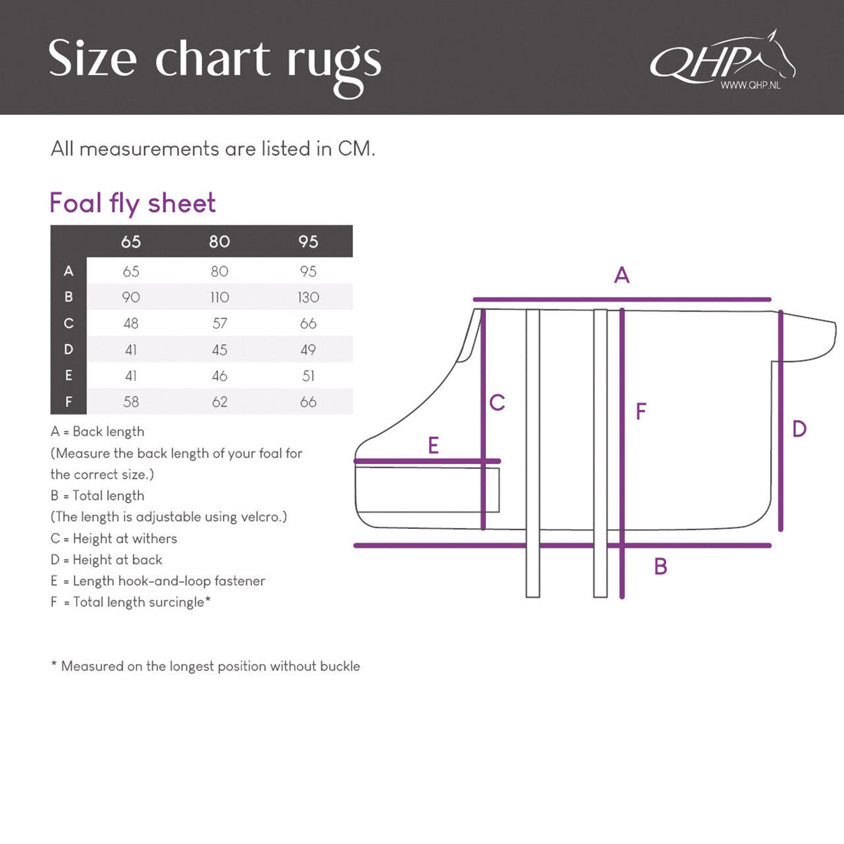 Foal fly rug