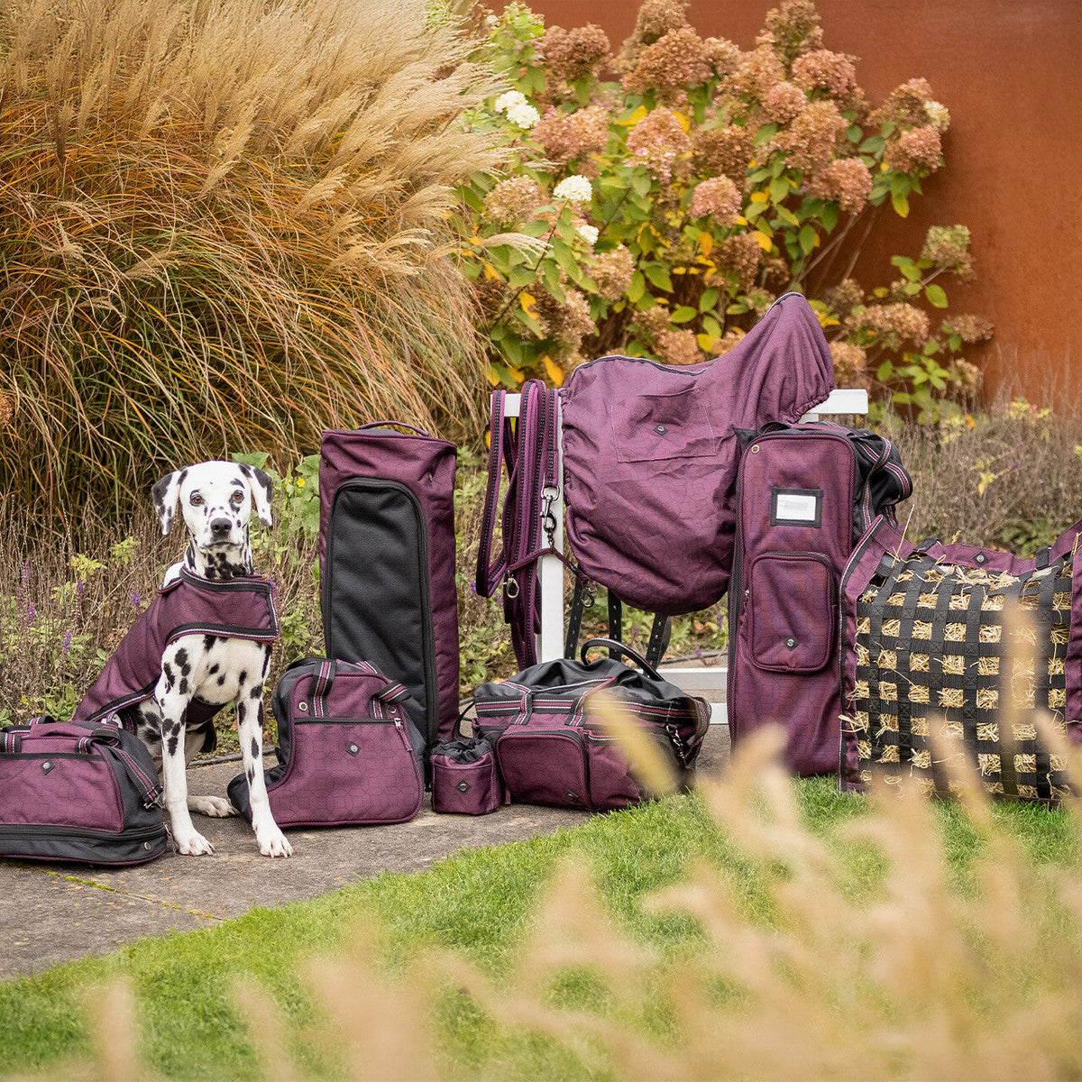 Dog rug 1200D turnout collection