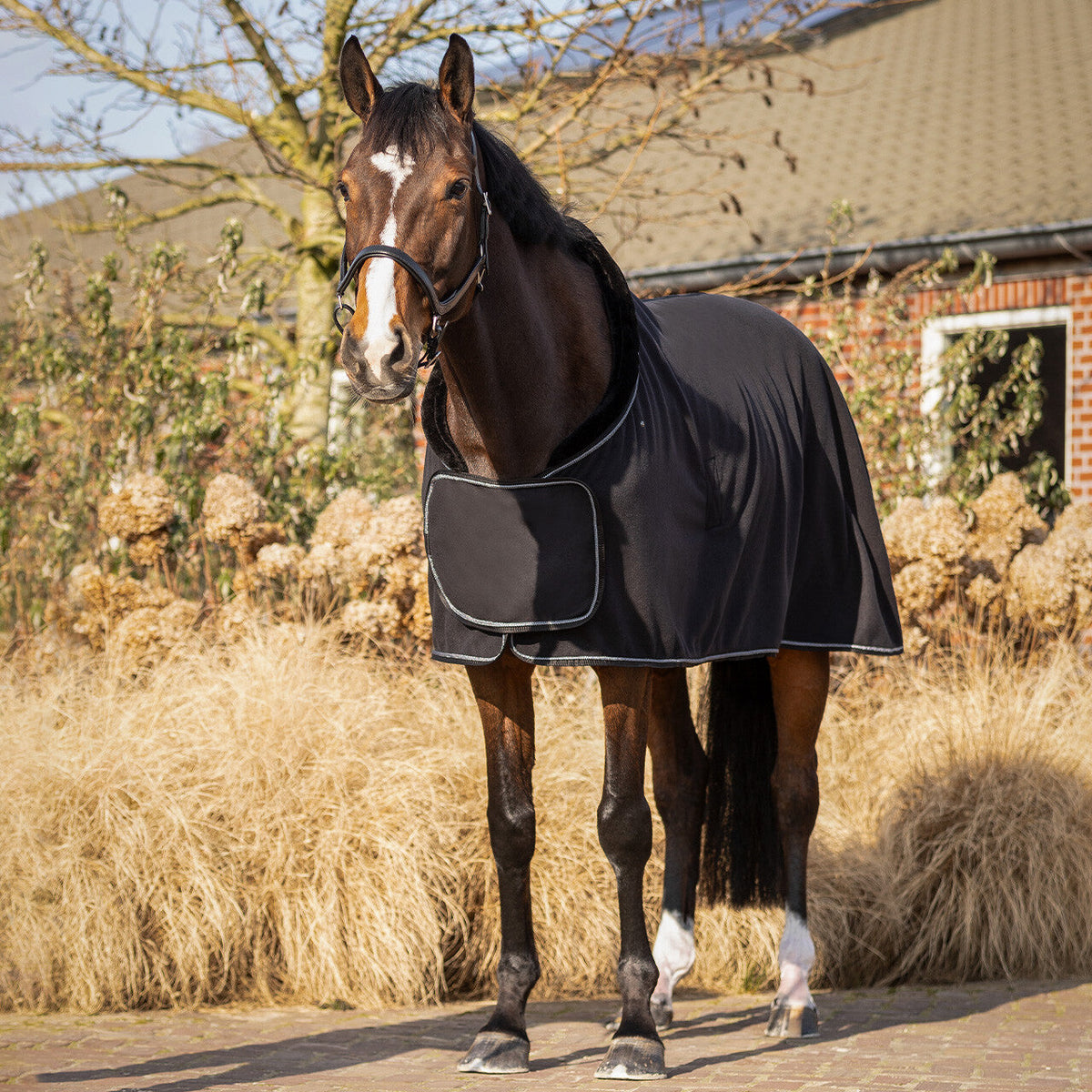 Fleece rug Salerno