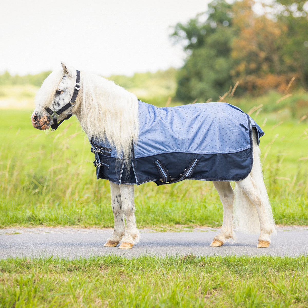 Turnout rug falabella collection 0gr