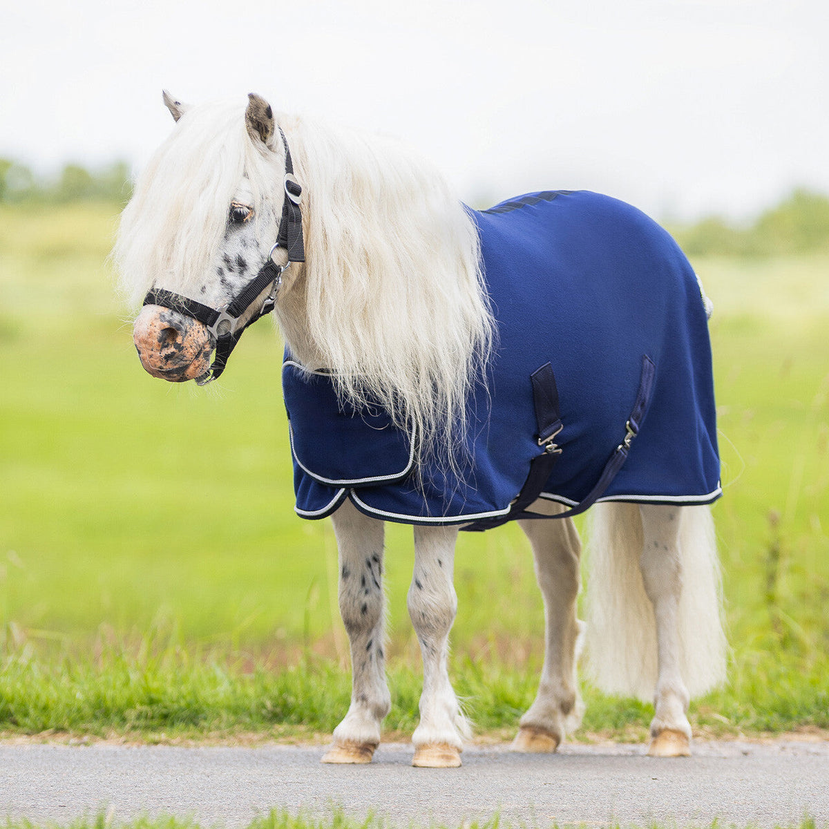 Fleece rug with ornament falabella
