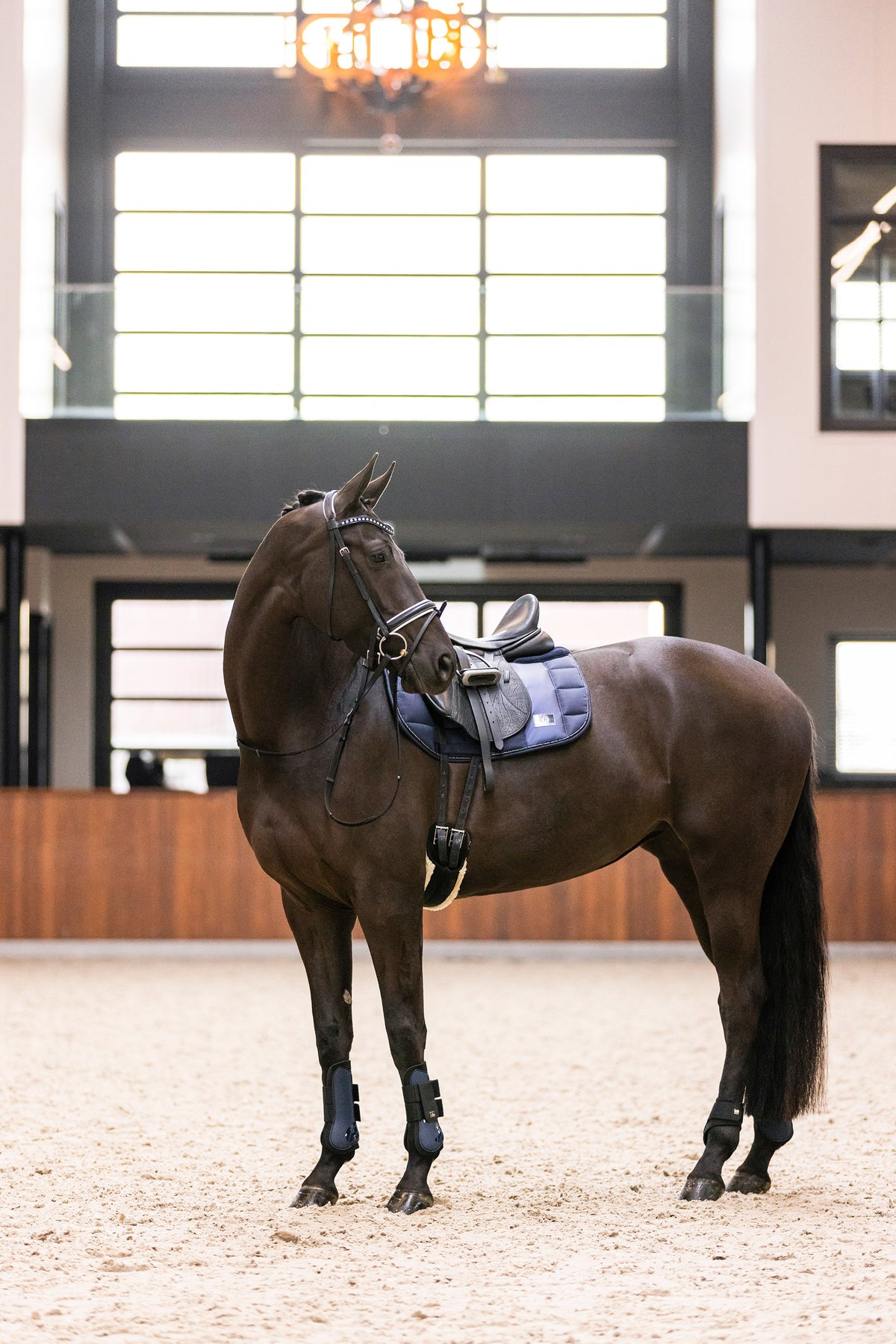 Fetlock boots IRHLovely
