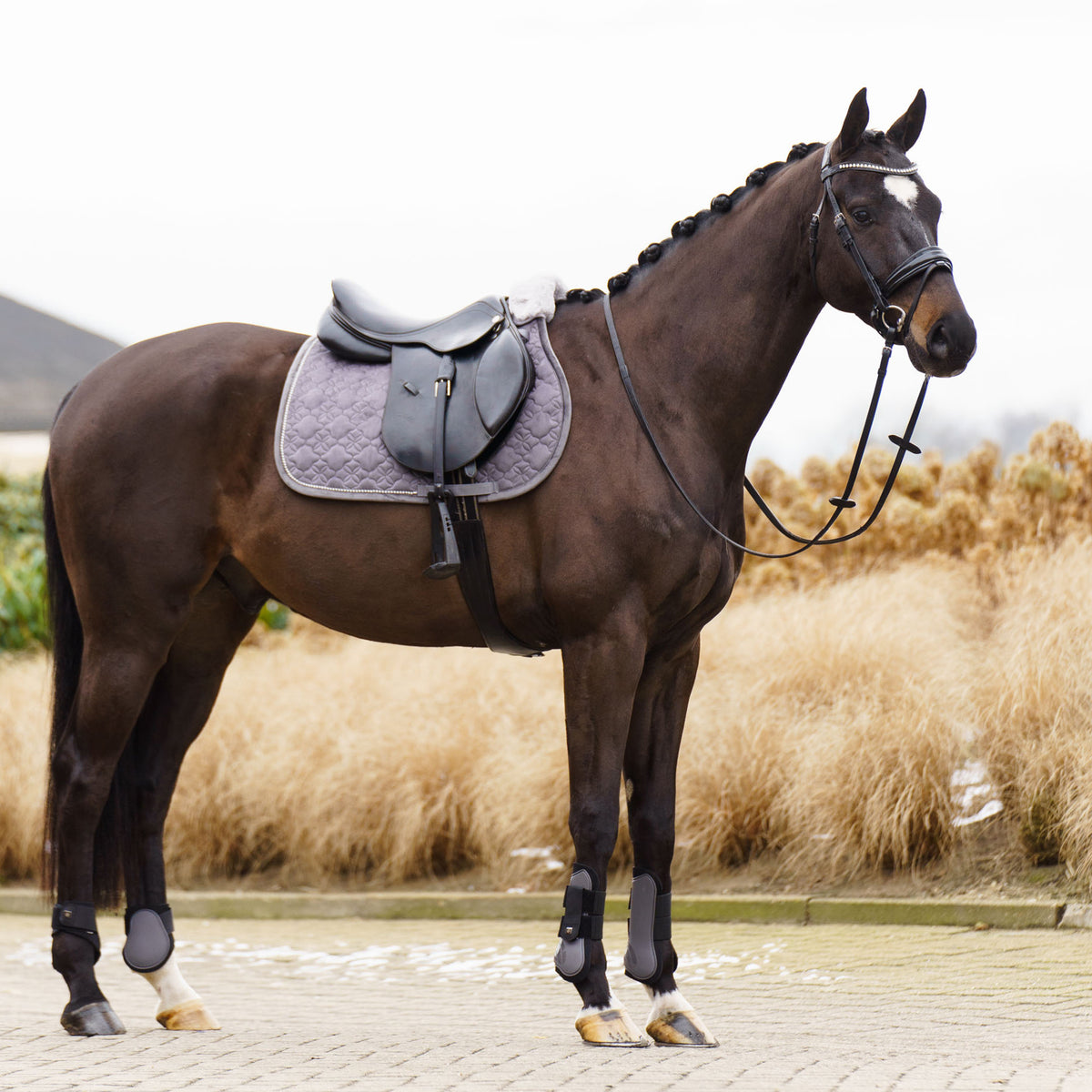 Saddlepad IRHSimone GP