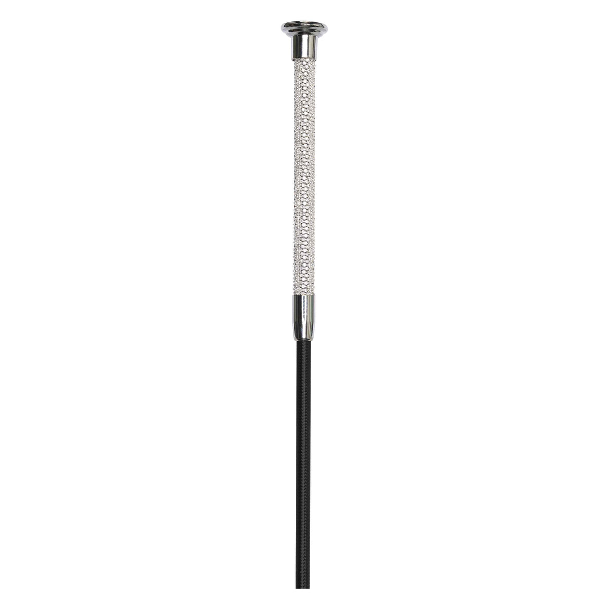 Dressage whip IRHStones