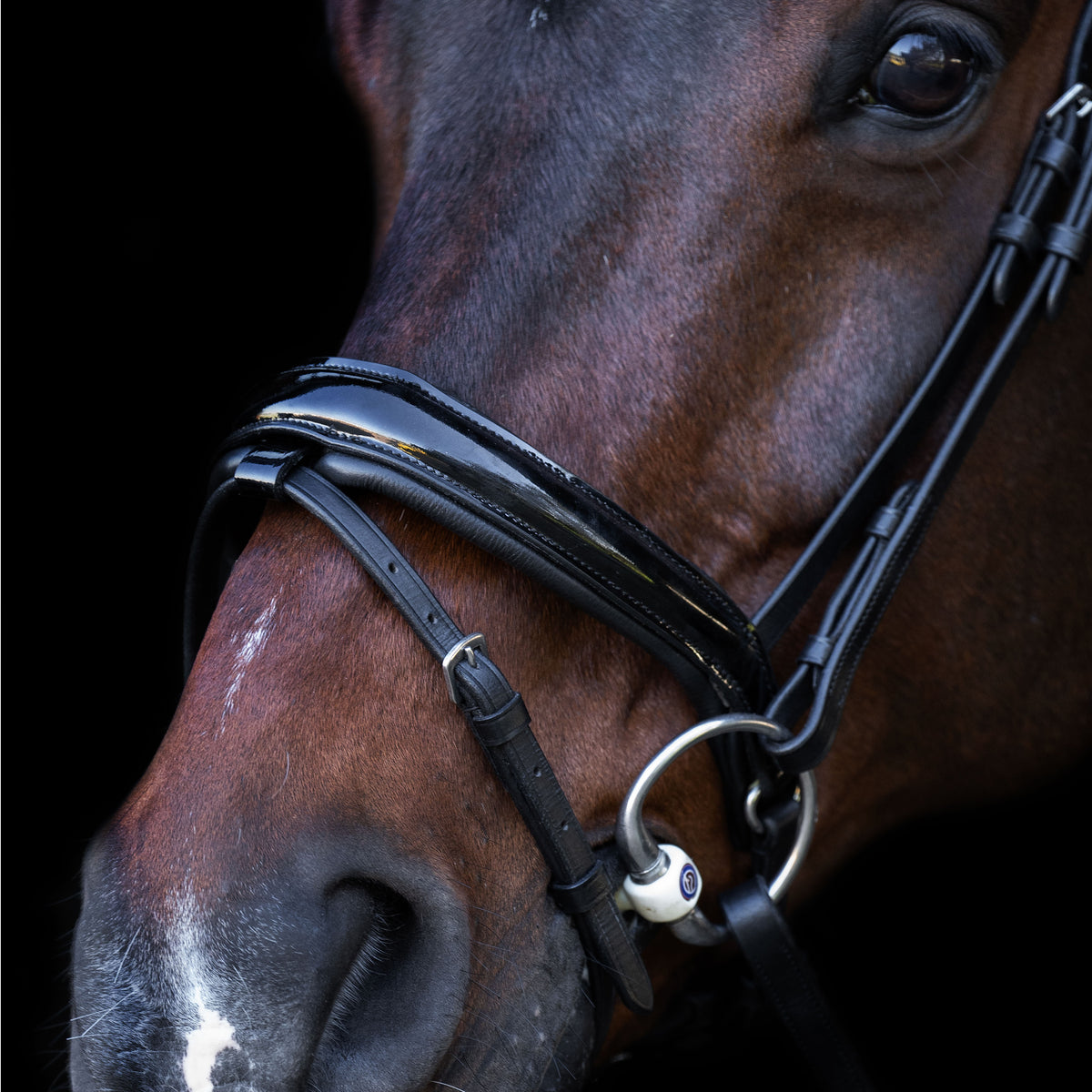 Snaffle bridle with English noseband IRH