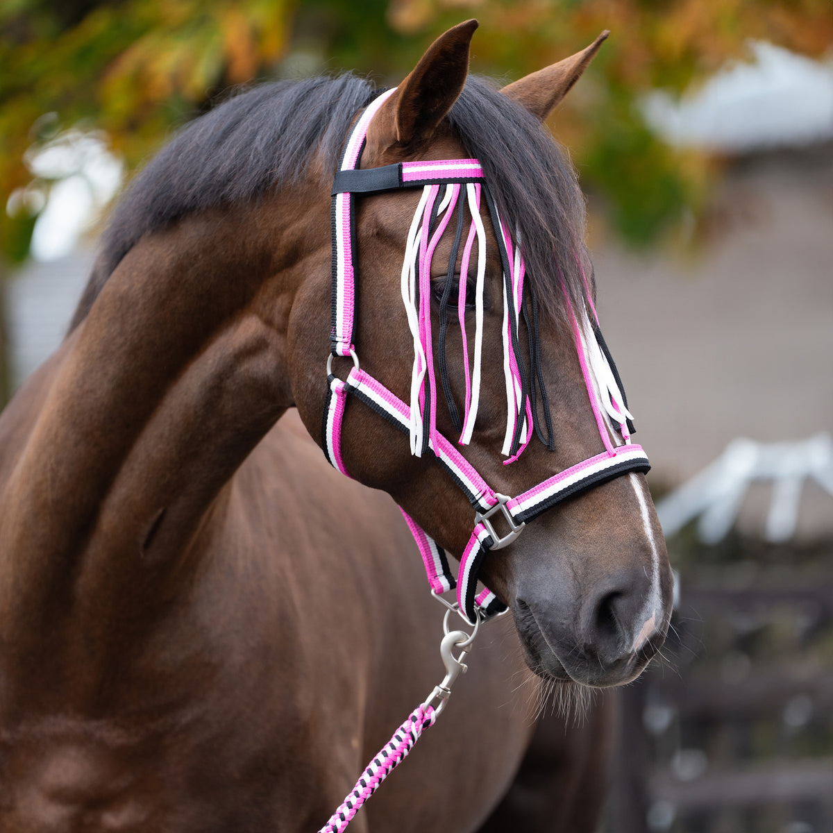 Set of headcollar, lead rope and flyfringes IRH