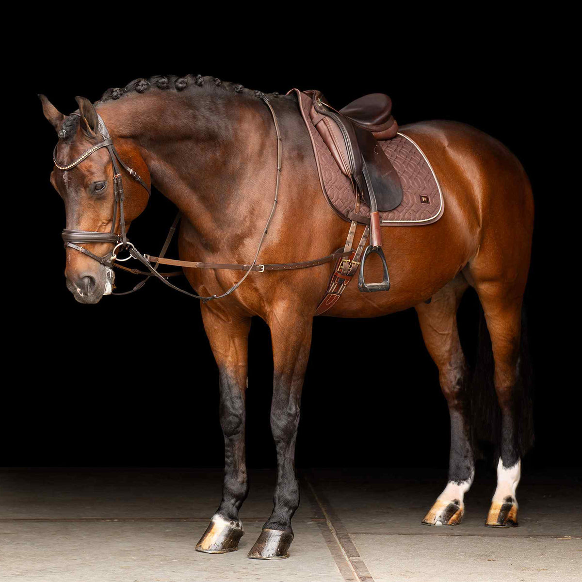 Side reins leather with elastic