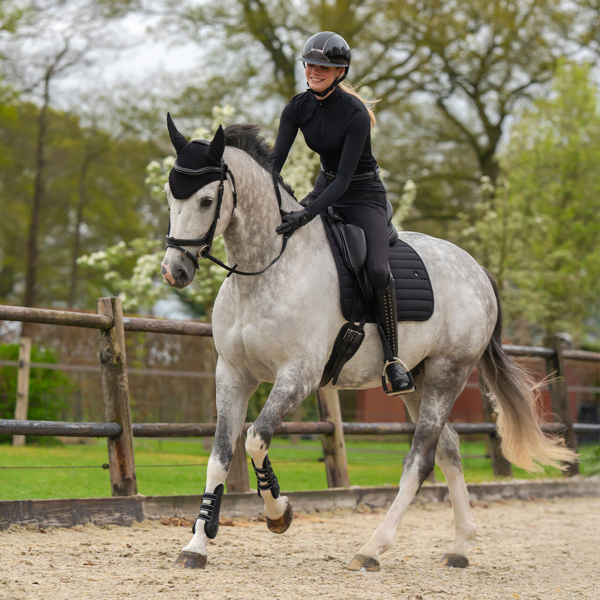 Bridle Salerno incl. reins
