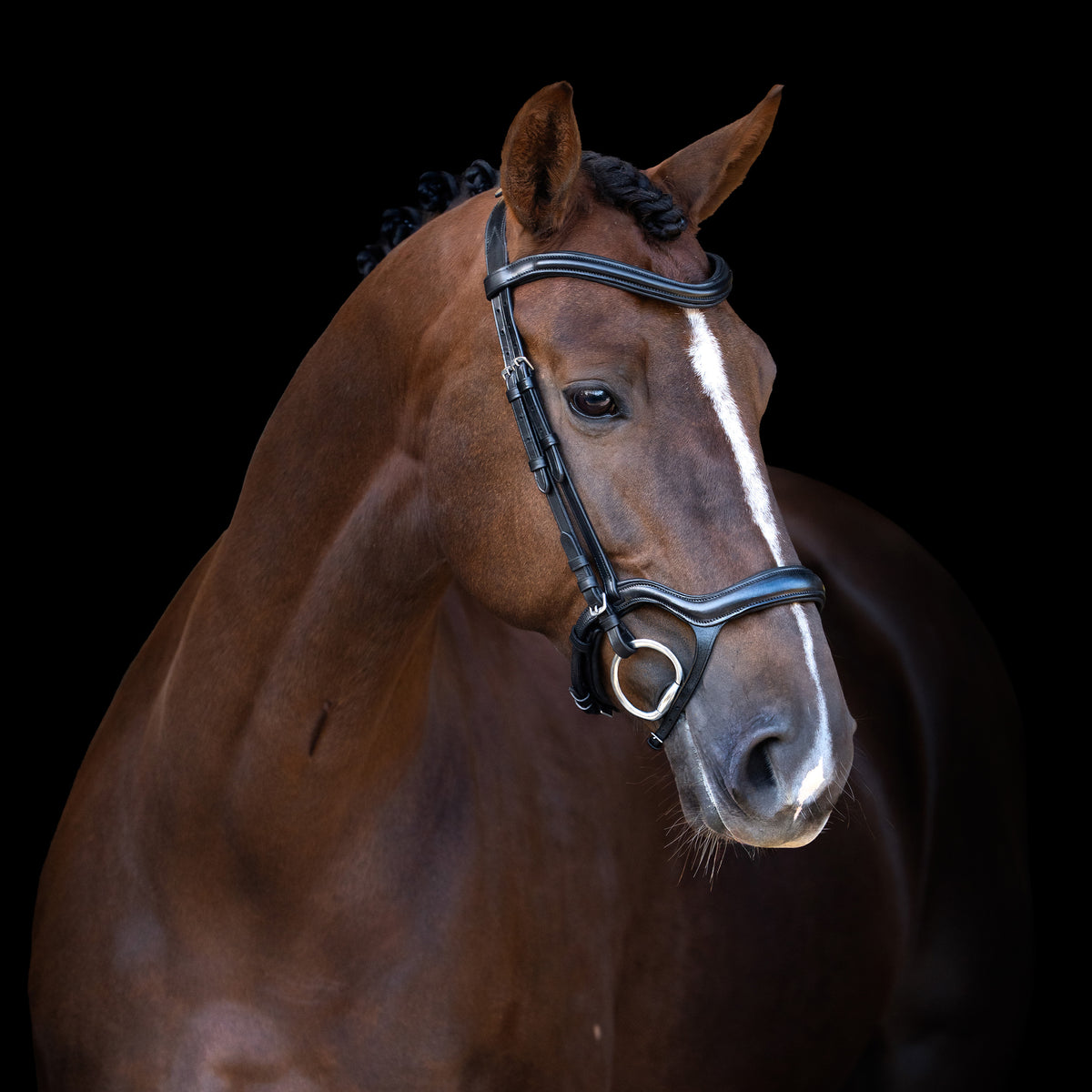 Bridle IRH with ergonomic drop noseband/flash