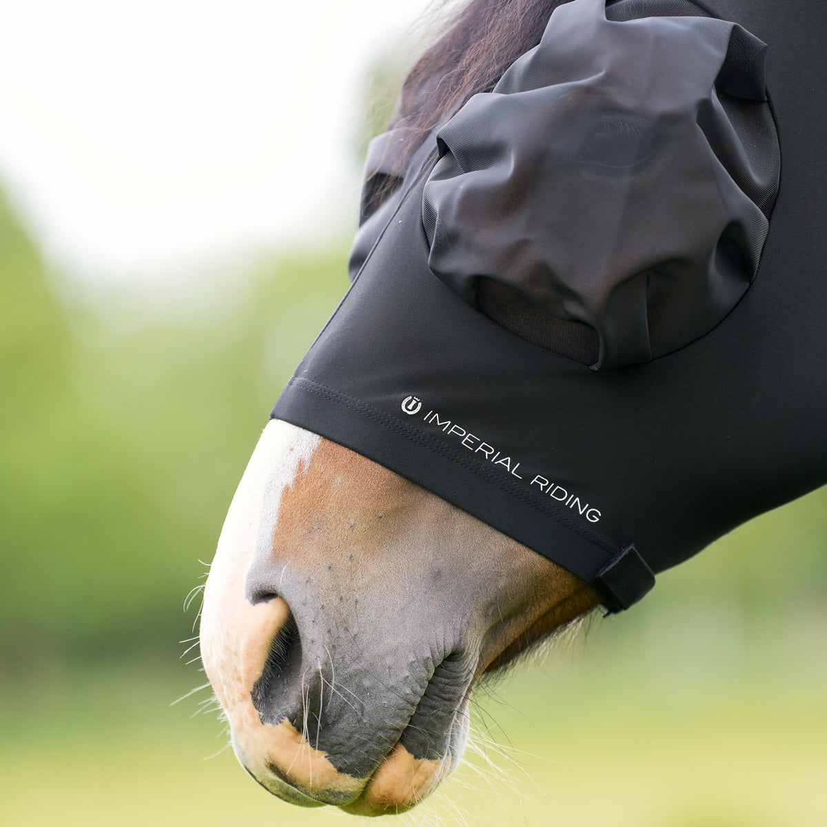Flymask IRHTrail ride