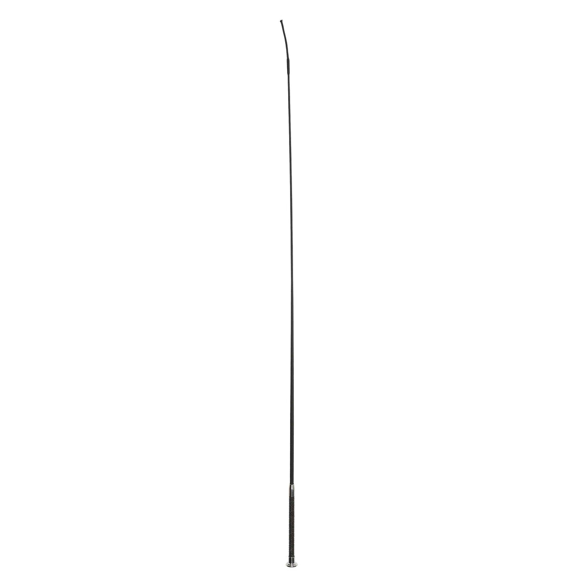 Dressage whip IRHStones