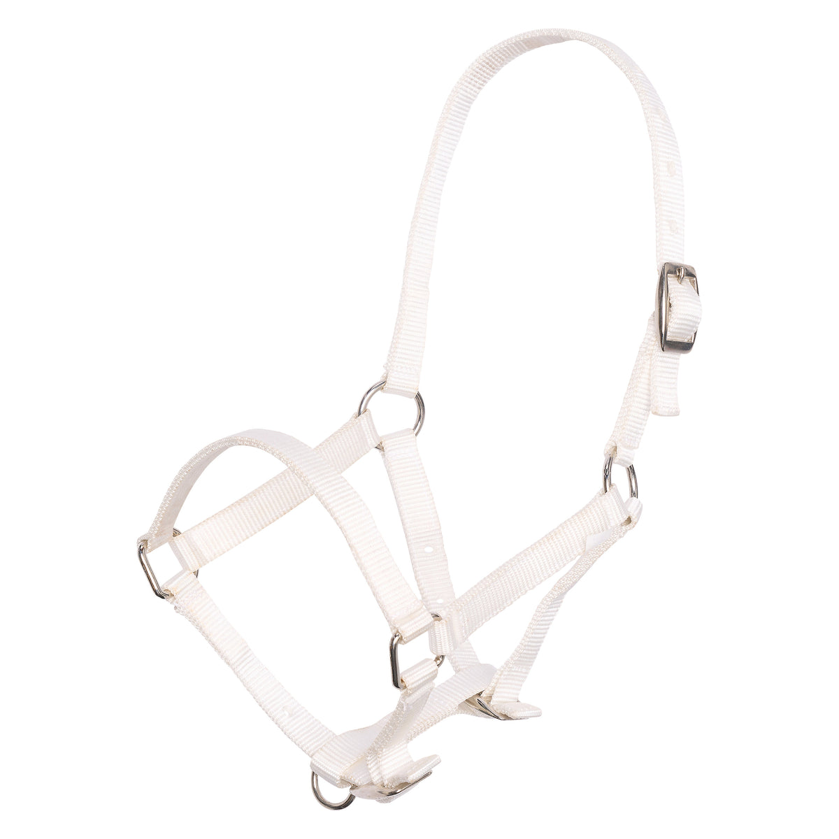 Headcollar foal IRH