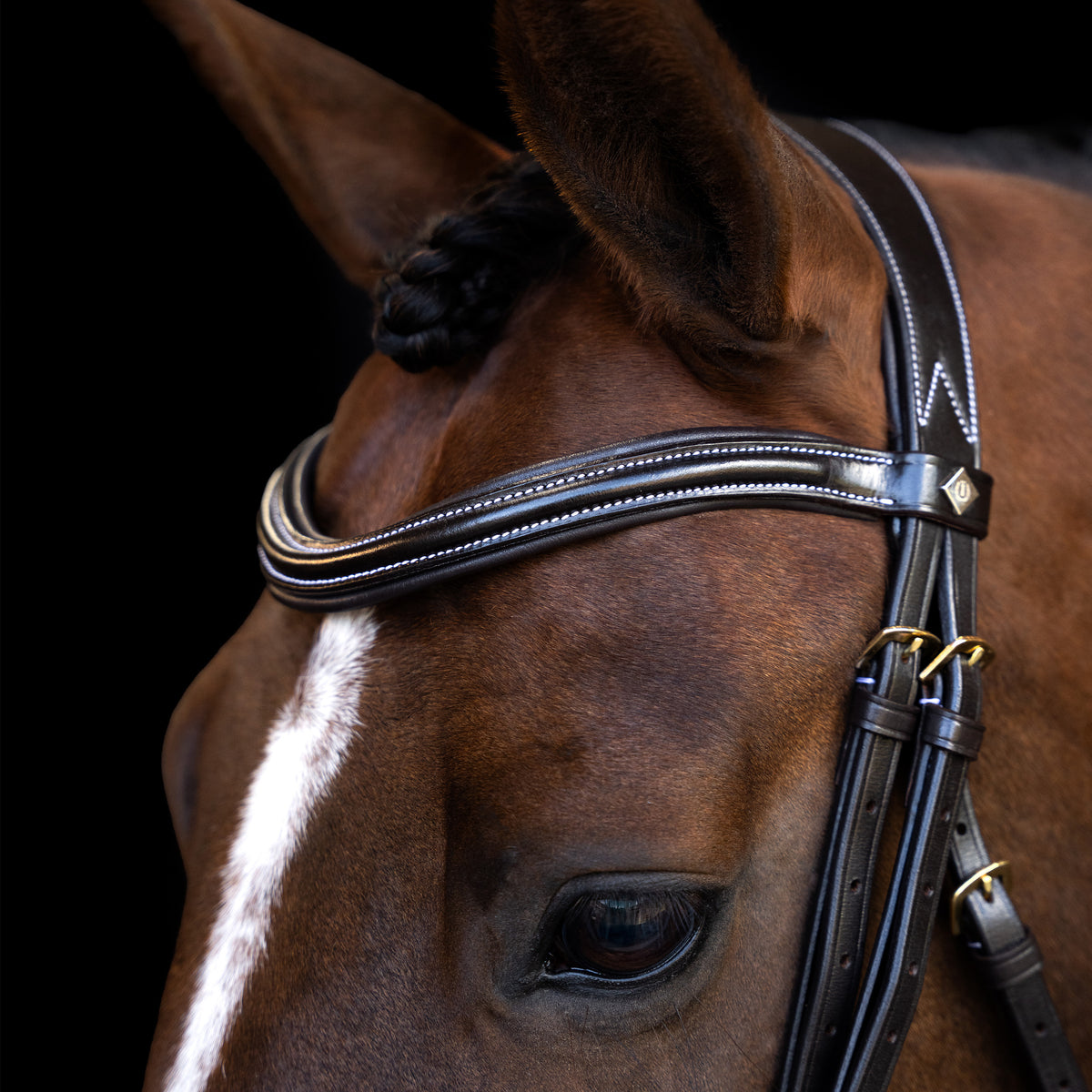 Bridle with curved cut English noseband IRH