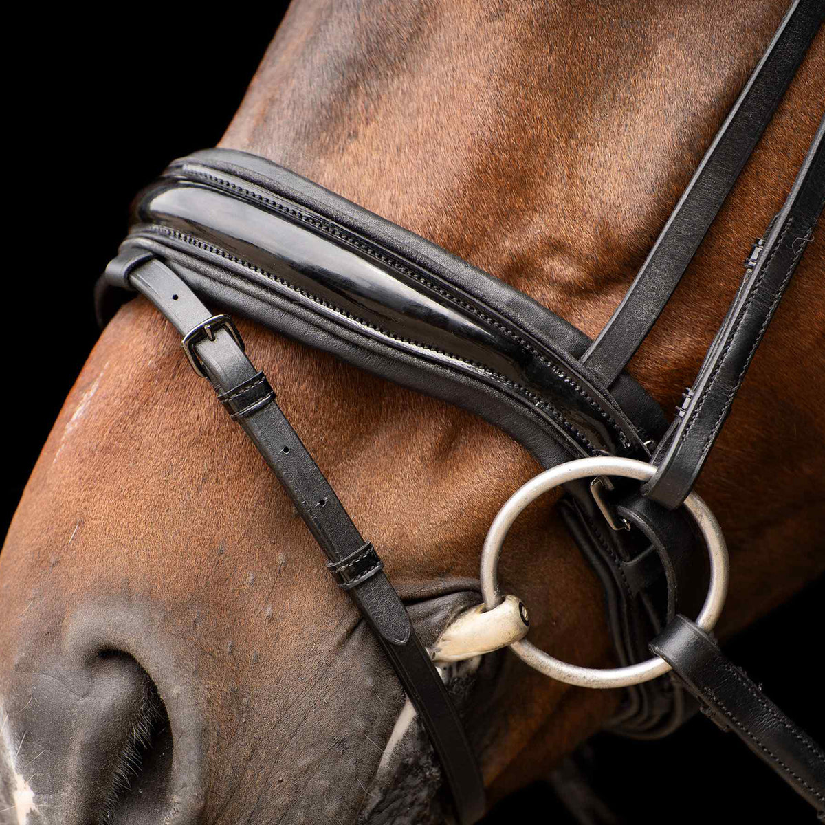 Bridle IRHAthena