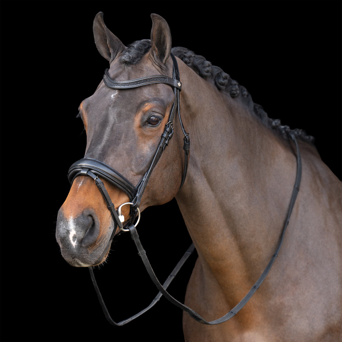 Snaffle bridle with English noseband IRH