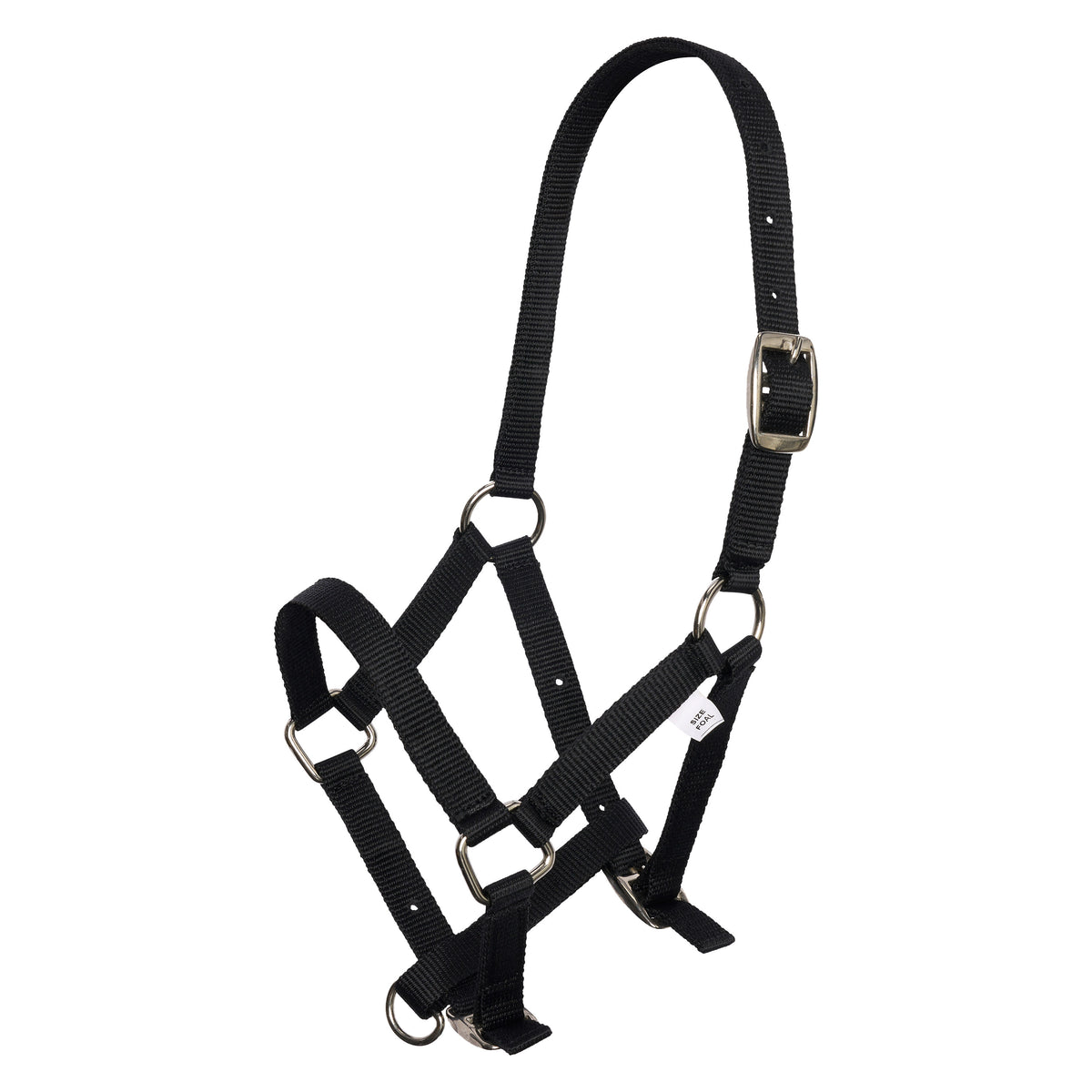 Headcollar foal IRH