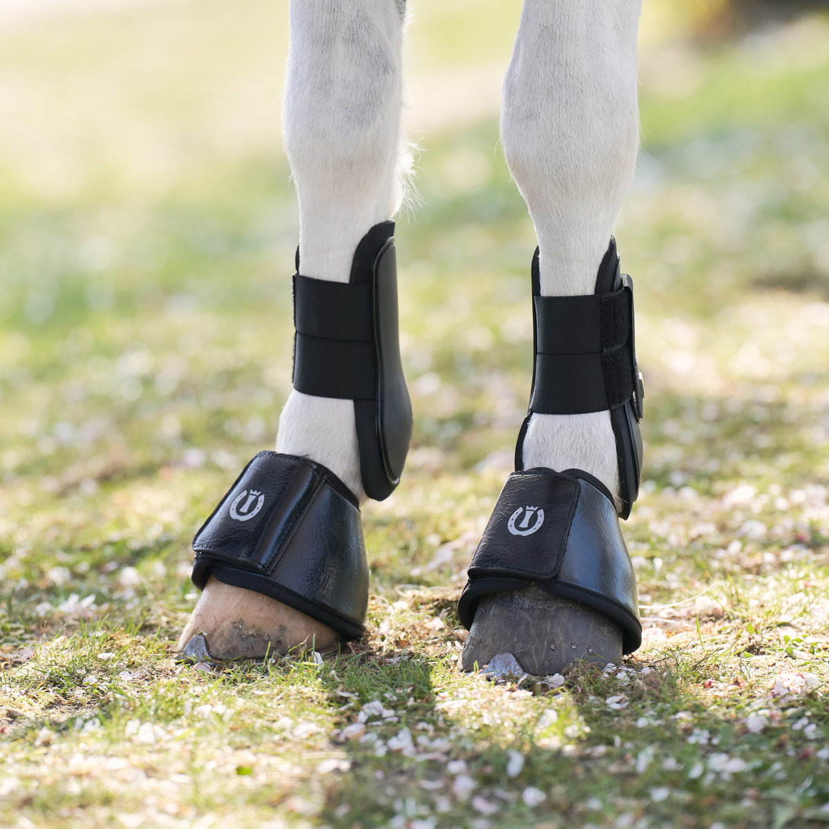 Bellboots IRHRebel