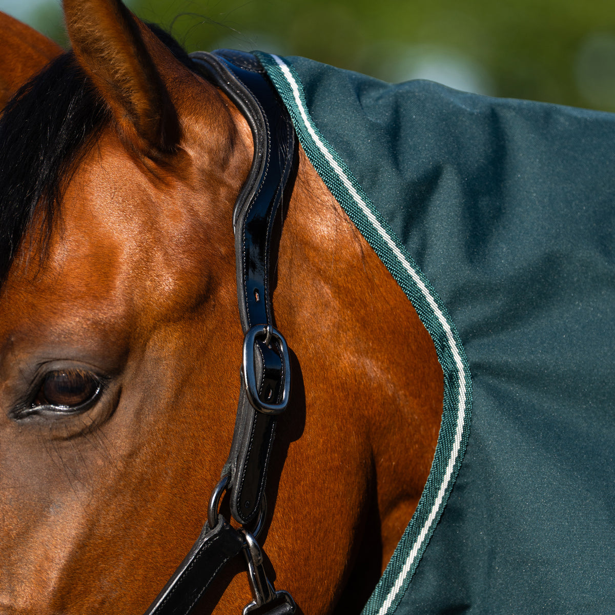 Outdoor blanket IRHBasic with detachable neck 200gr