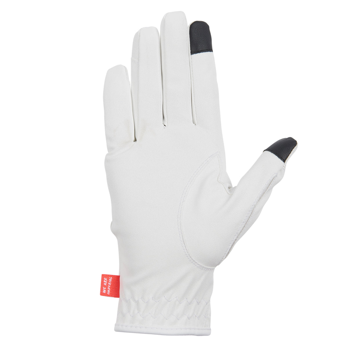 Gloves IRHThe Basics