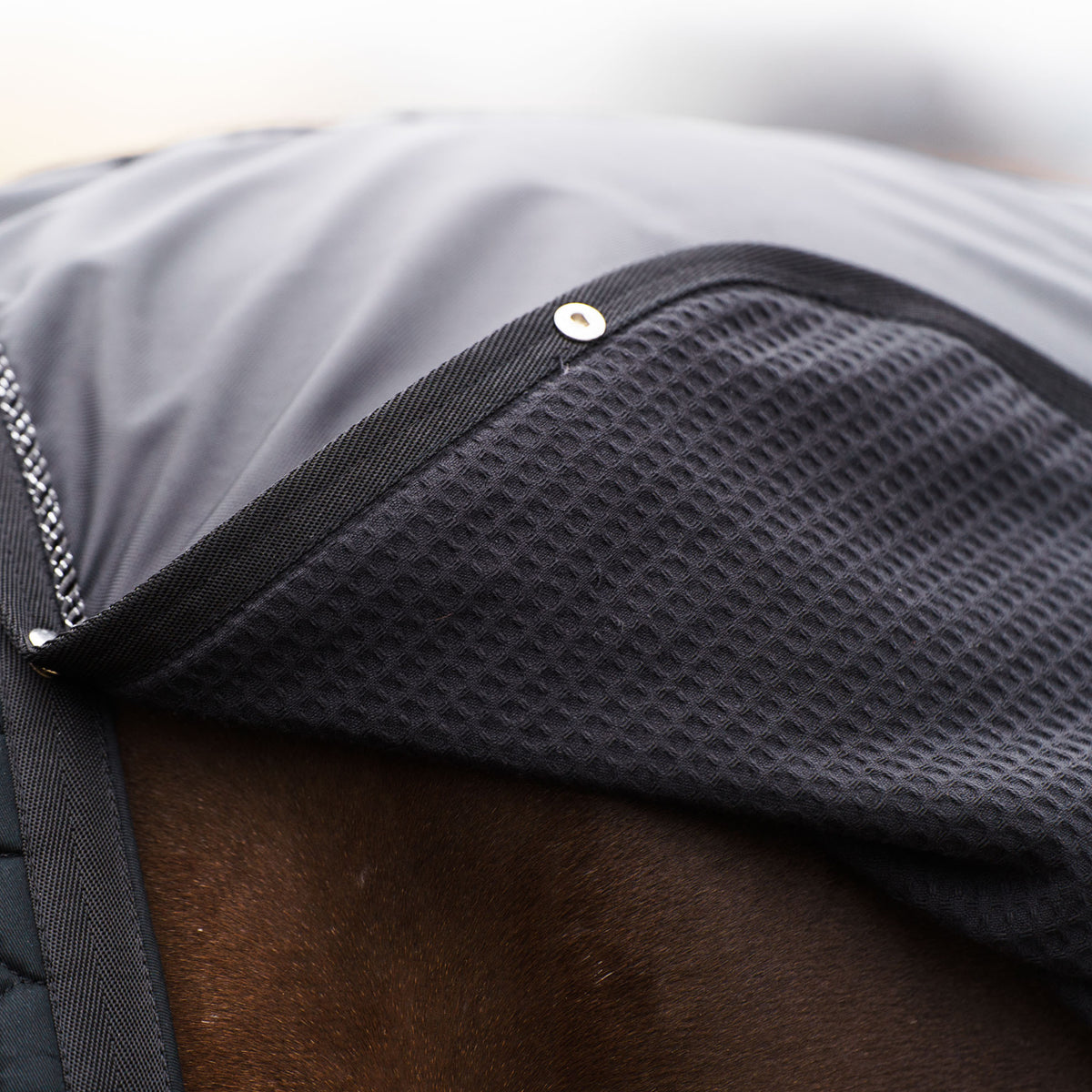Winter exercise blanket IRHMultiride