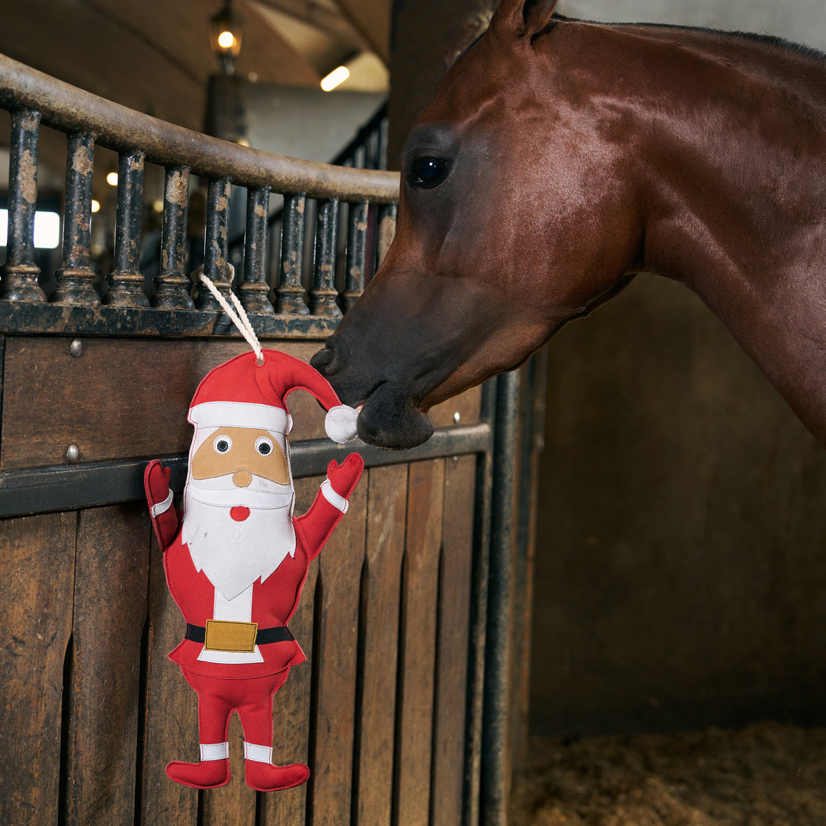 Stable buddy IRHSanta