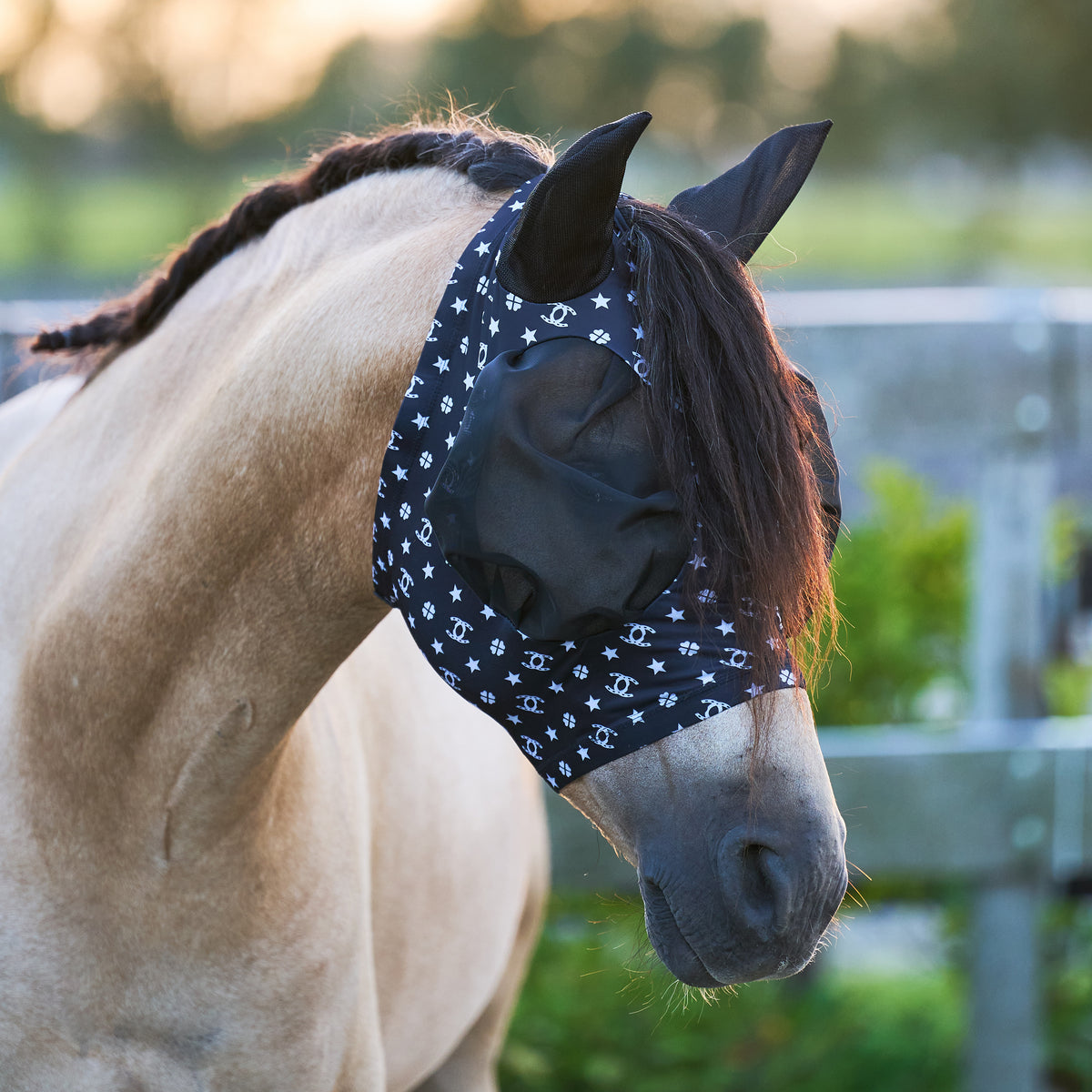 Flymask IRHTrail ride