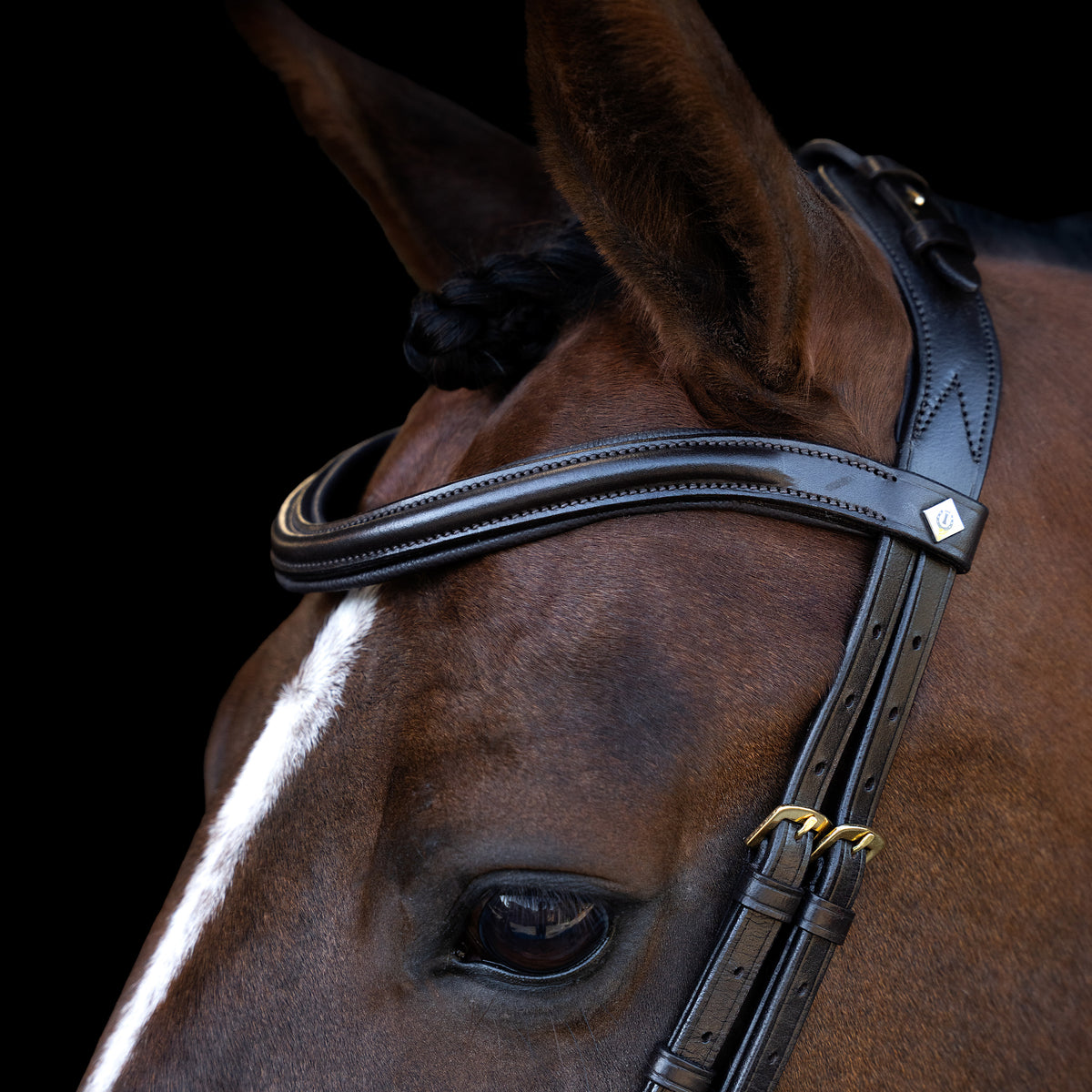 Bridle with ergonomic drop noseband/flash IRH