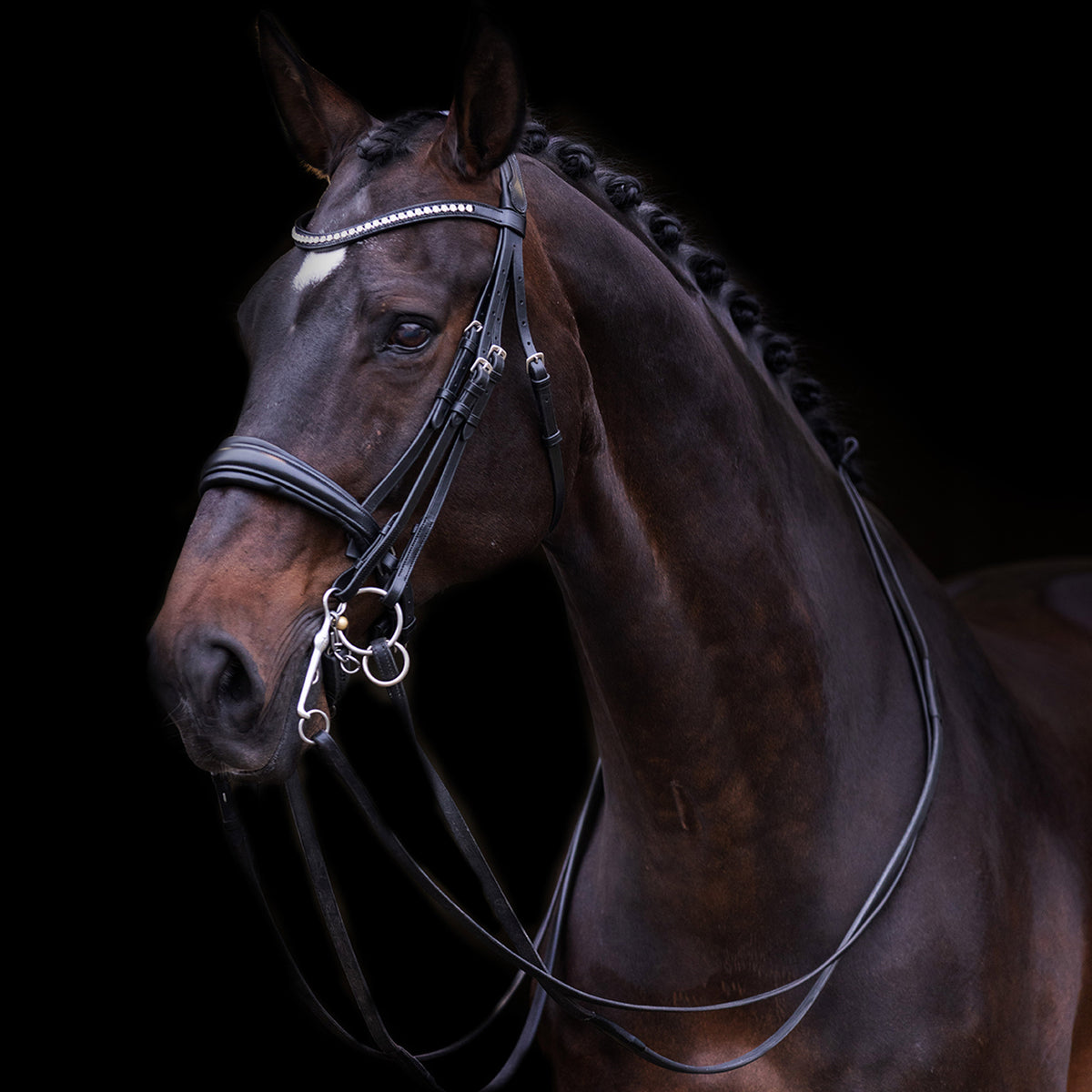 Weymouth bridle IRHFria