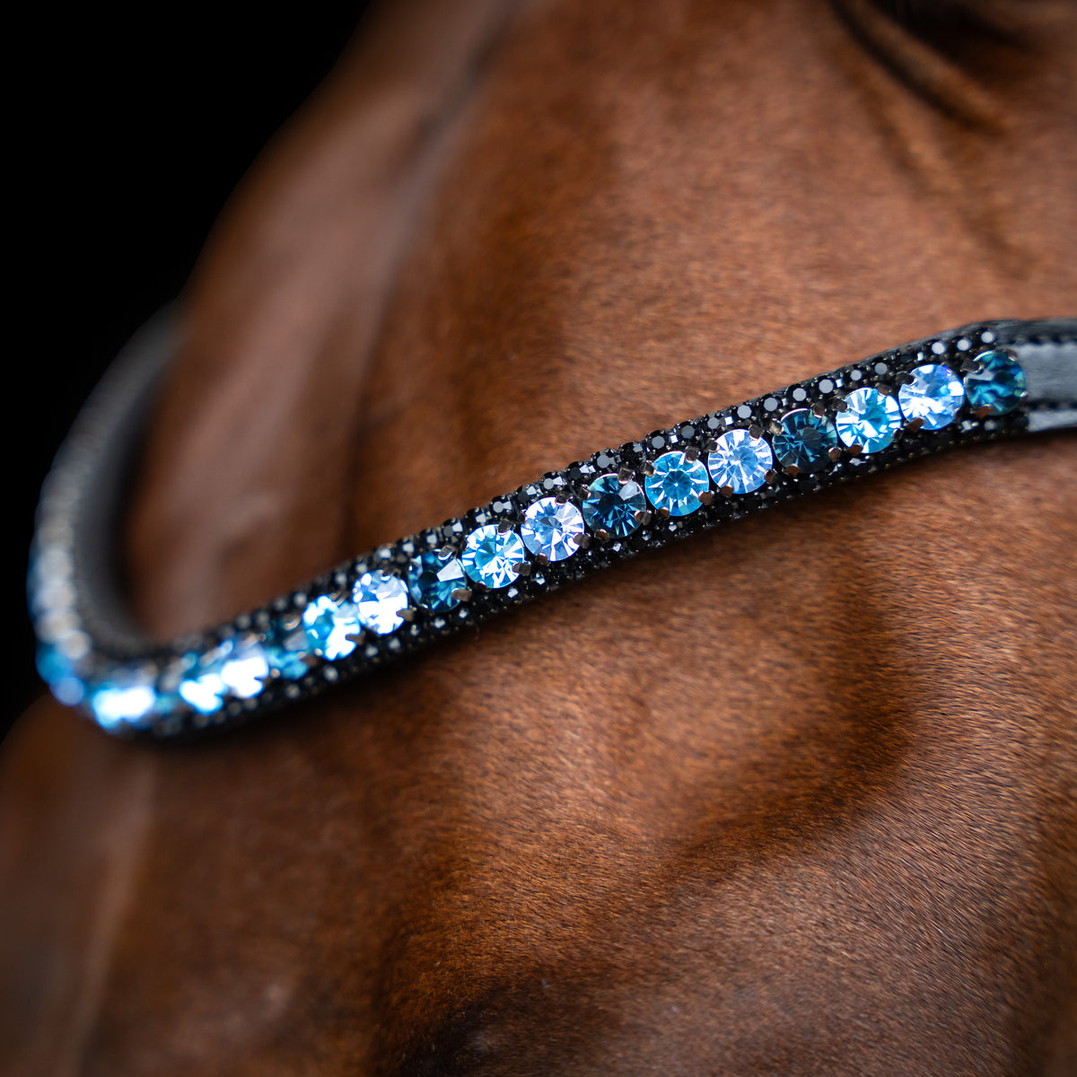 Browband IRHGrande