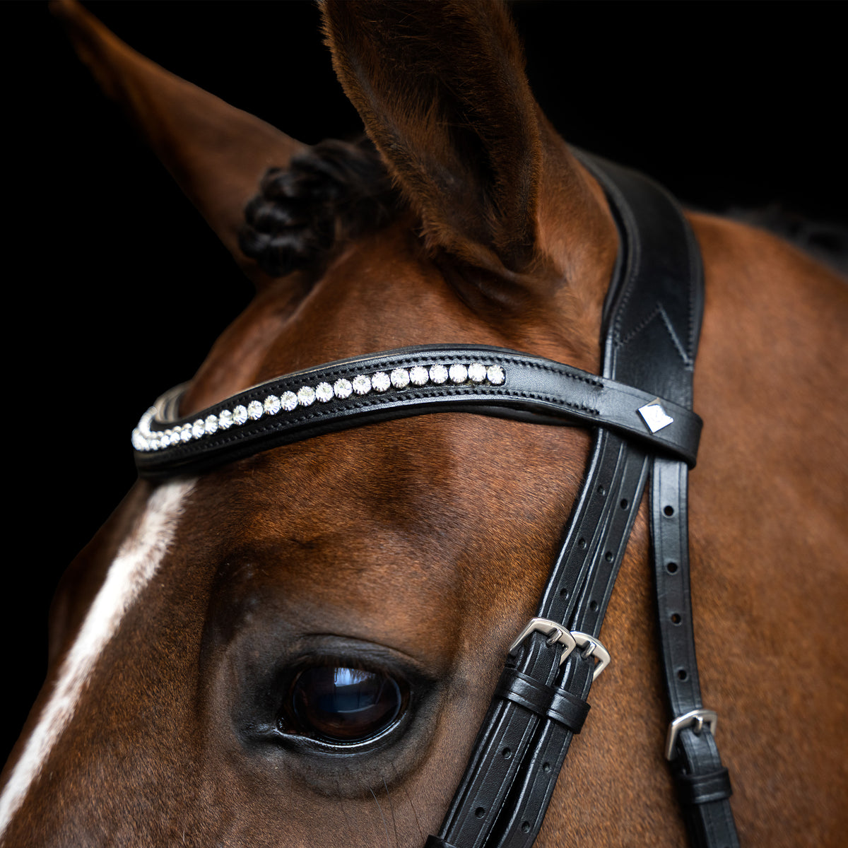 Bridle with simple combined noseband IRH
