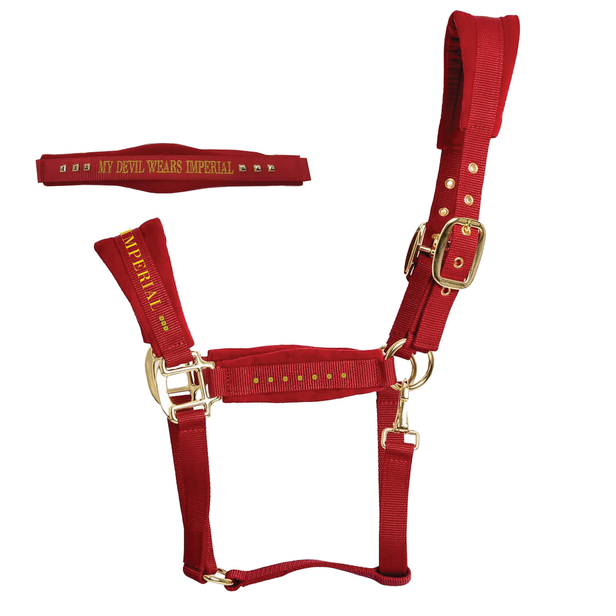 Headcollar IRHDevil