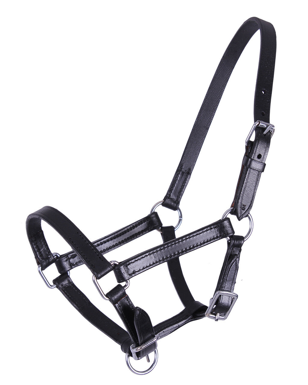 Foal head collar leather Chico