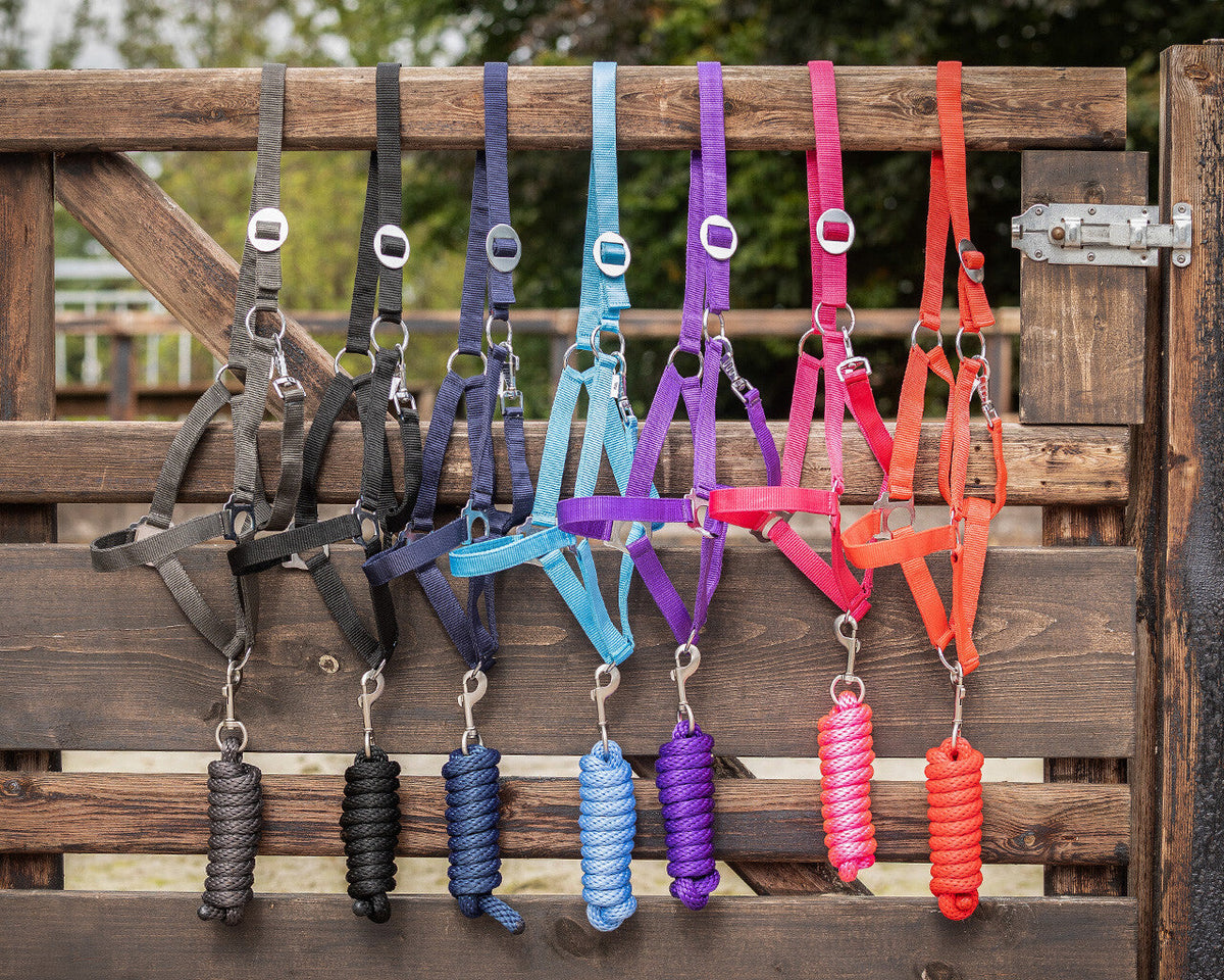 Lead rope Luxury