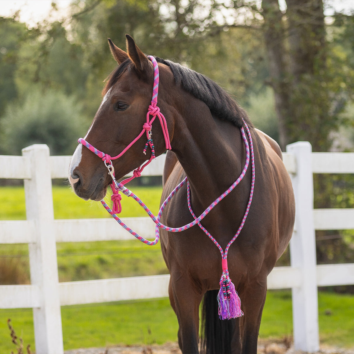 Rope halter combi Liberty