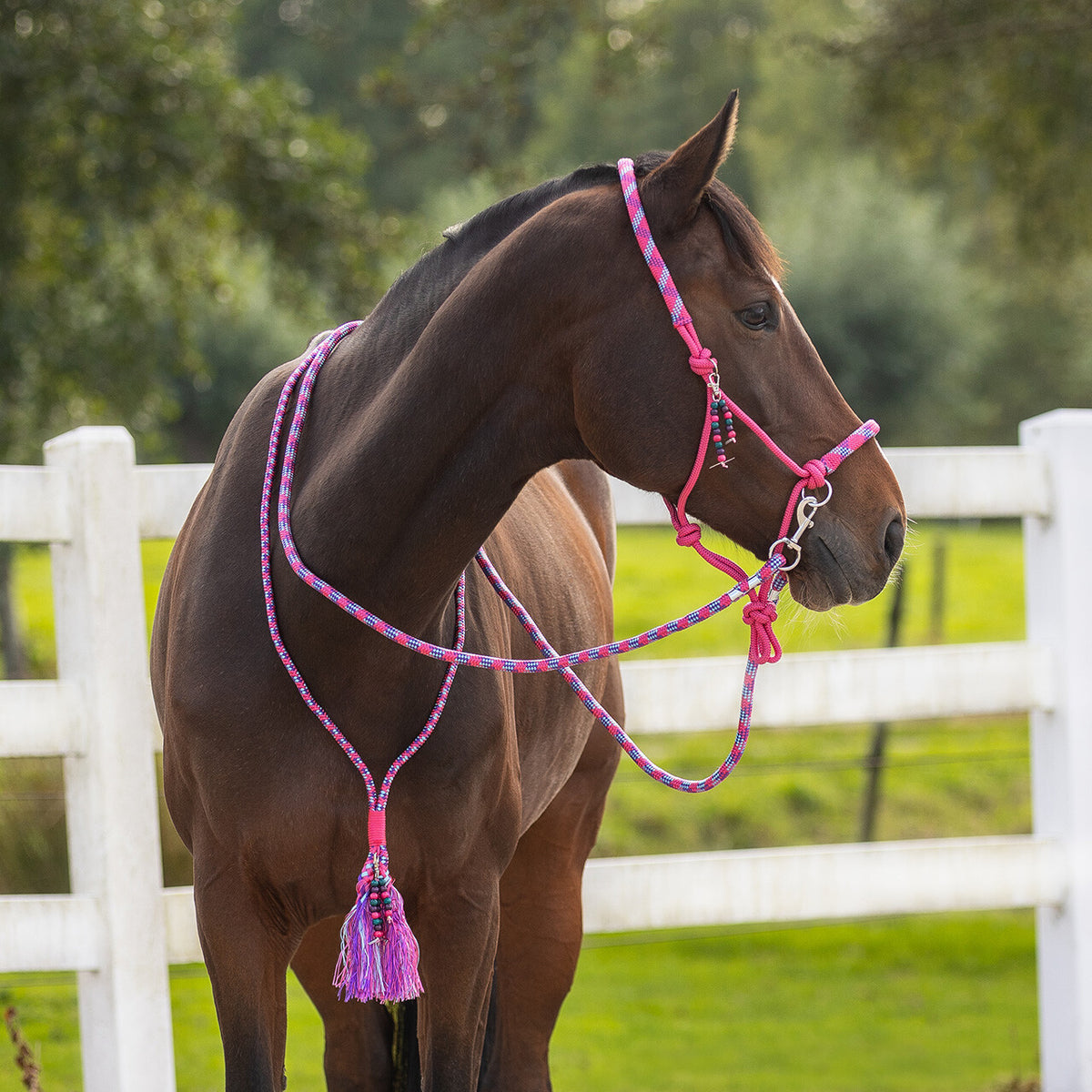 Rope halter combi Liberty