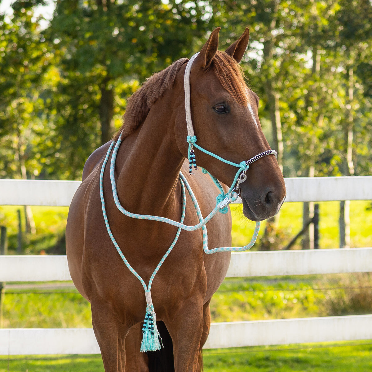 Rope halter combi Liberty