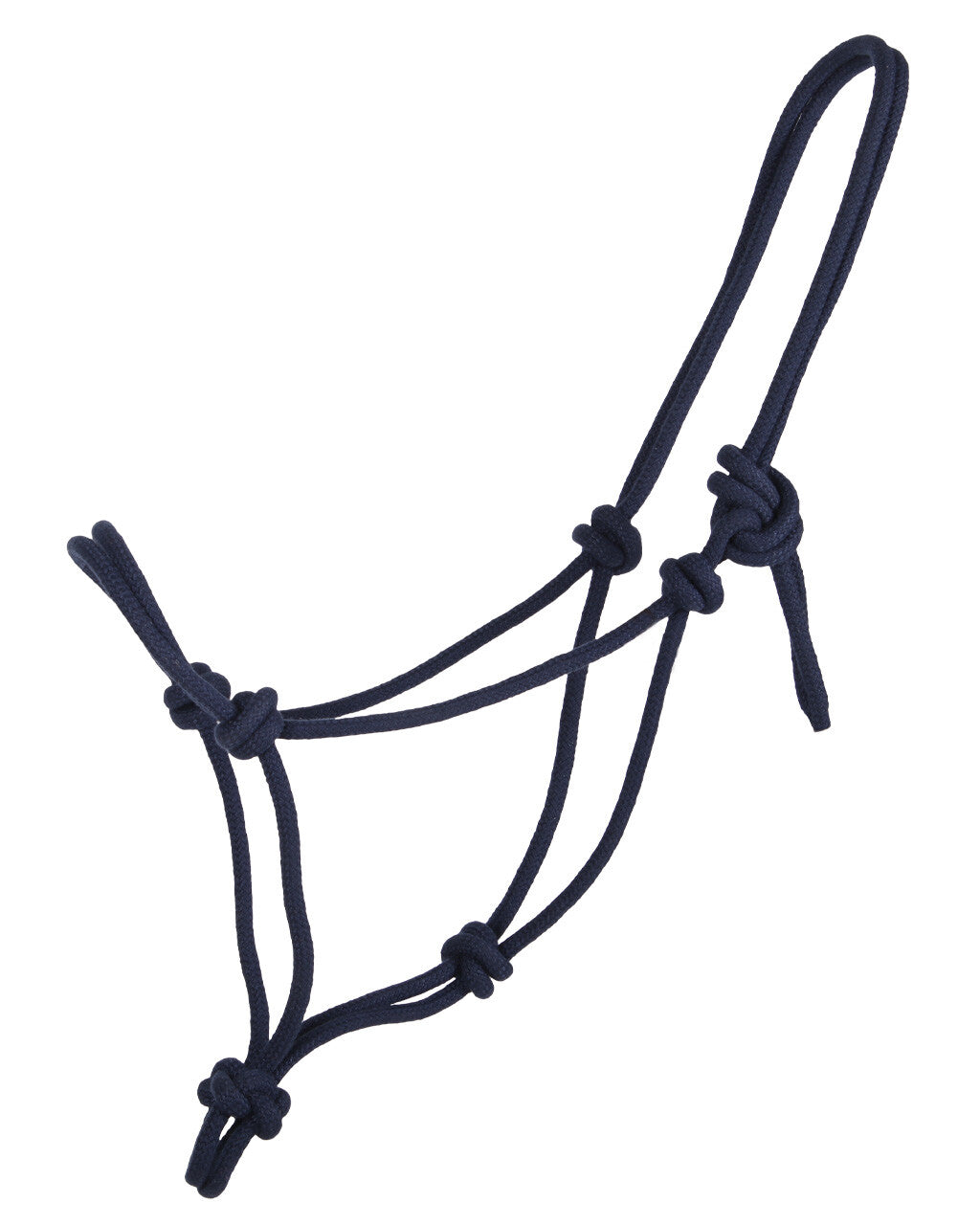 Rope halter basic