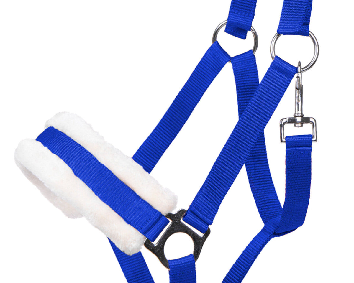 Head collar Cali
