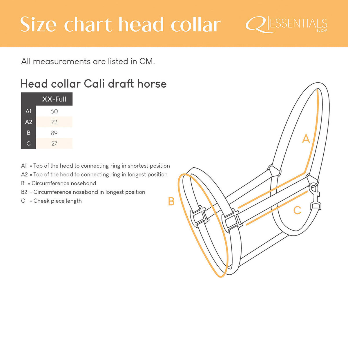 Head collar Cali draft horse
