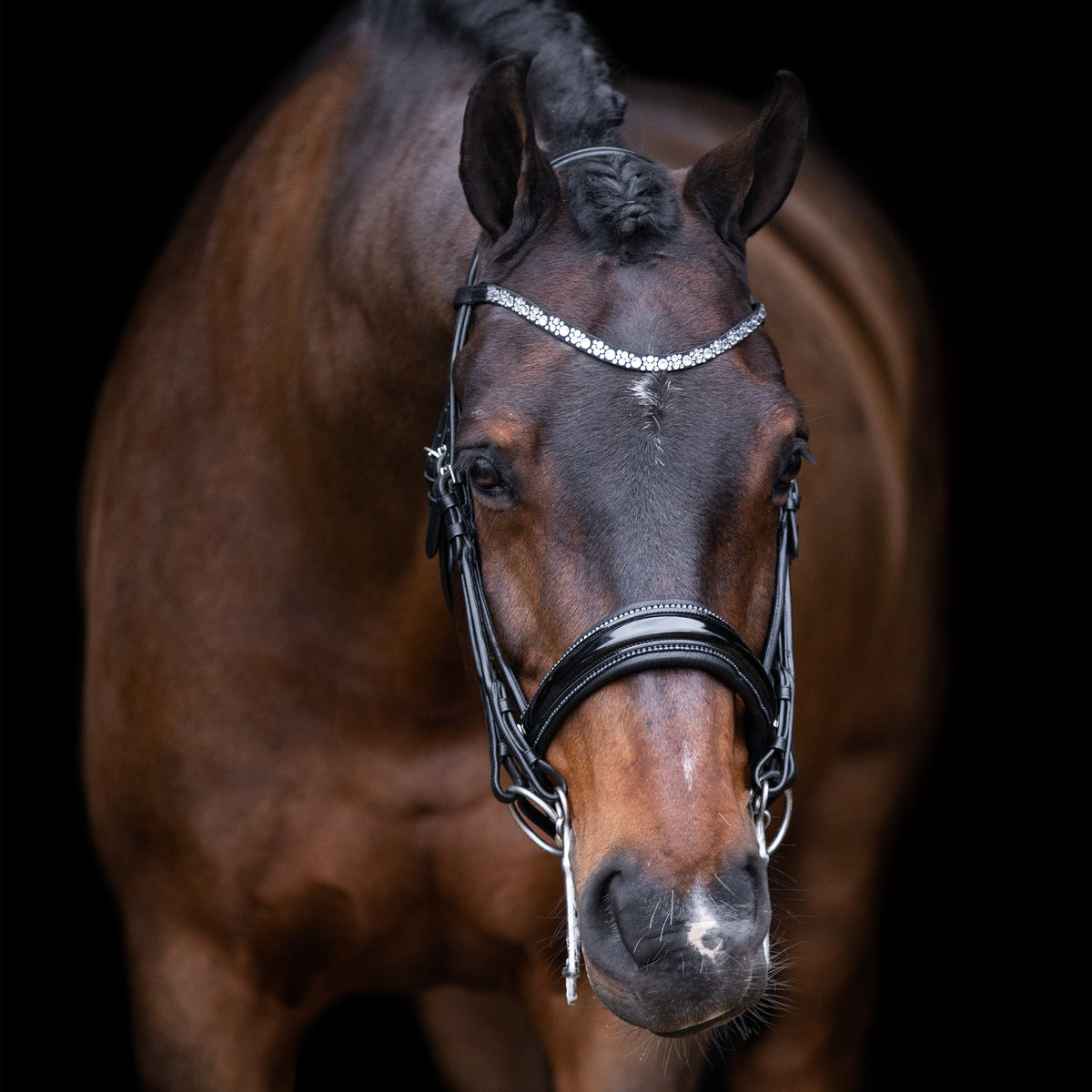 Weymouth bridle IRHOlympia