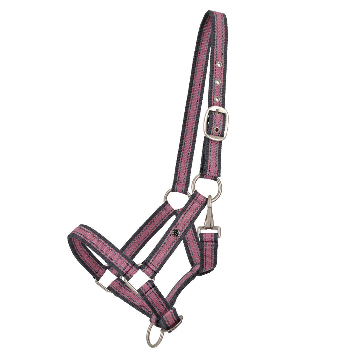 Head collar yearling collection
