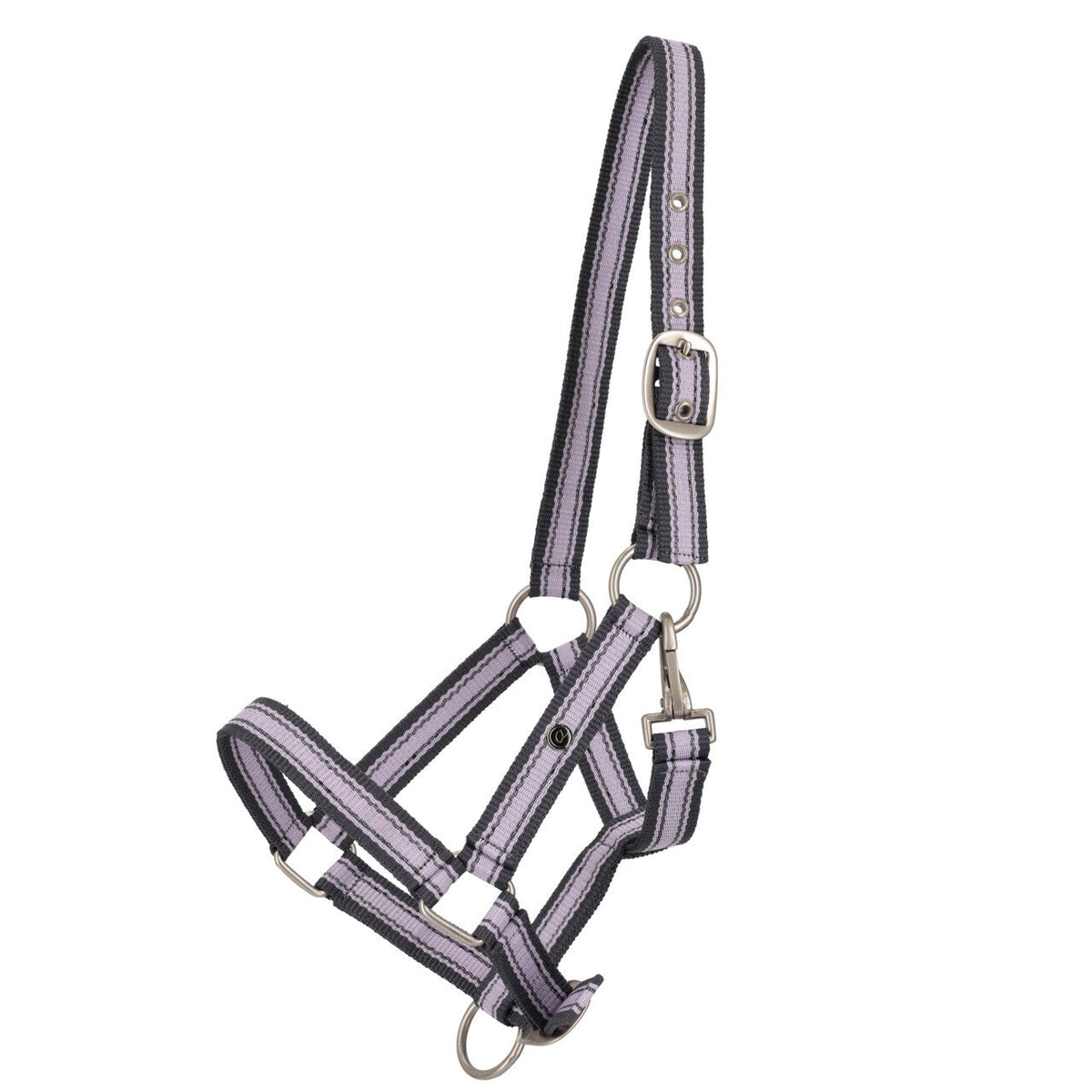 Head collar yearling collection