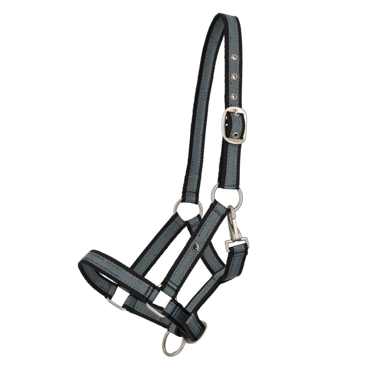 Head collar yearling collection