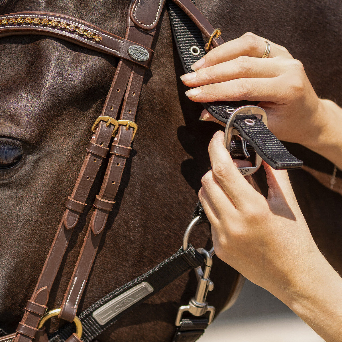 Tack up halter