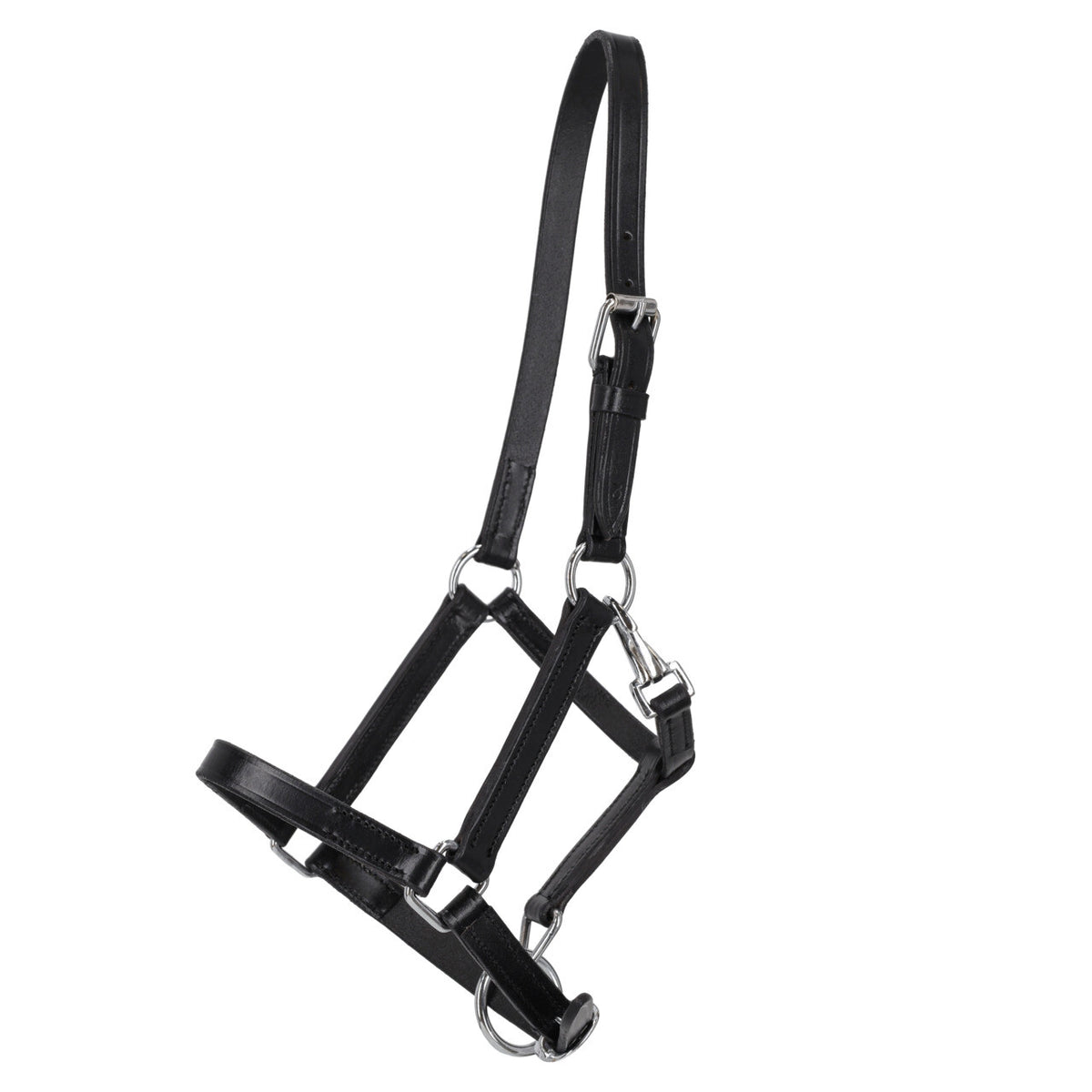 Head collar foal leather with clip